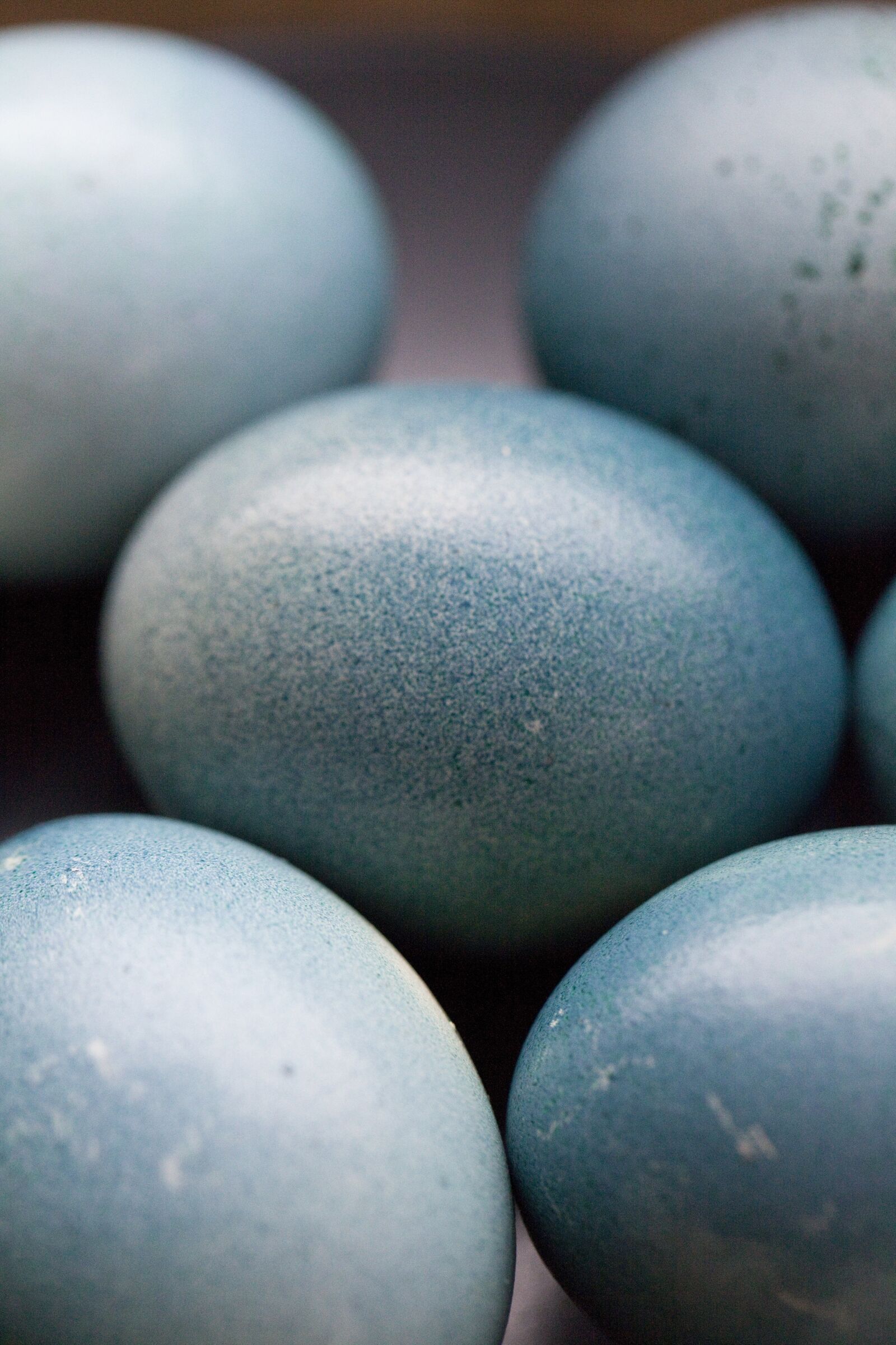 Canon EOS 5D Mark II sample photo. Eggs, blue, spring photography