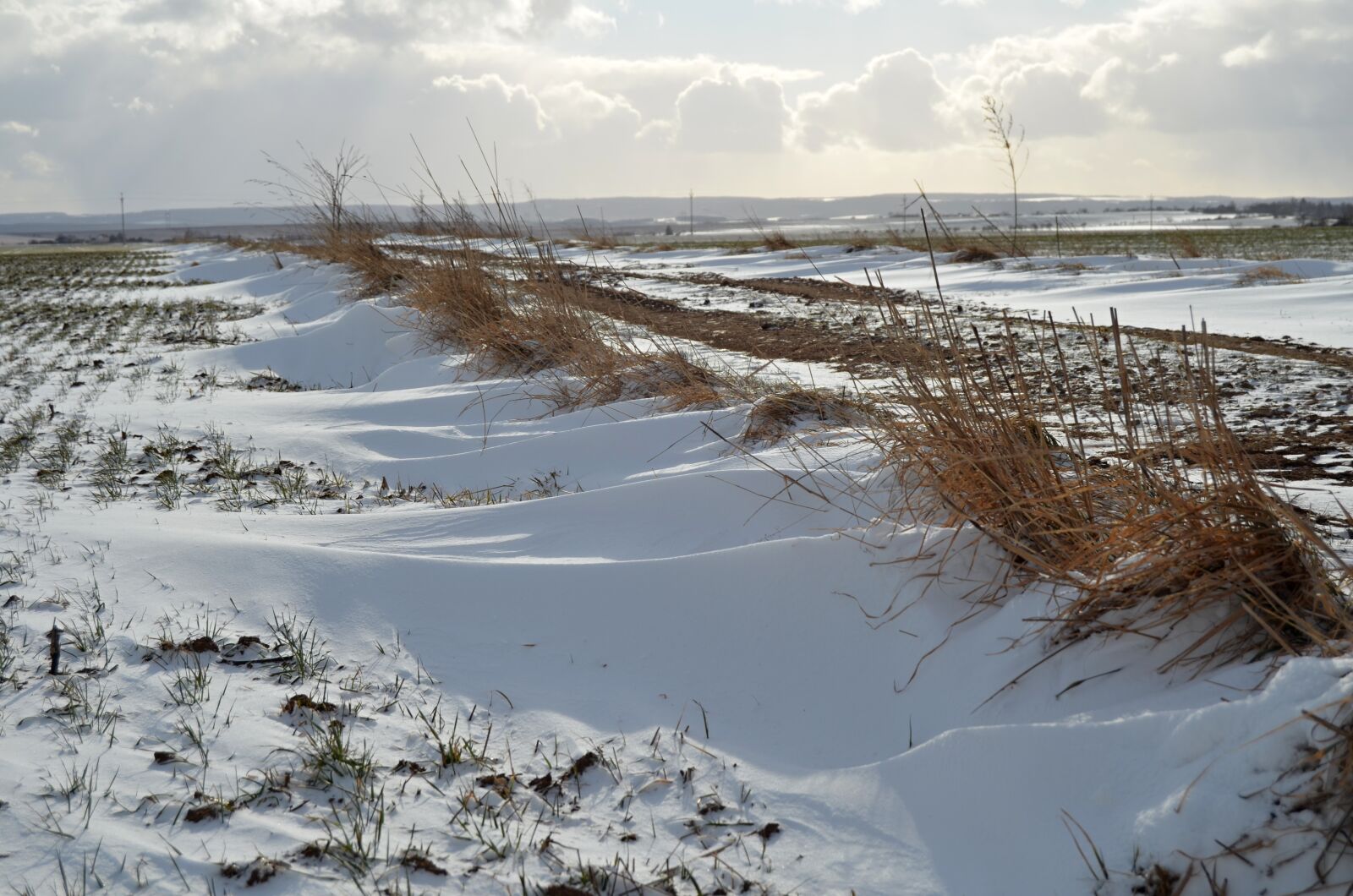 Nikon D5100 sample photo. Winter, snow, grass photography