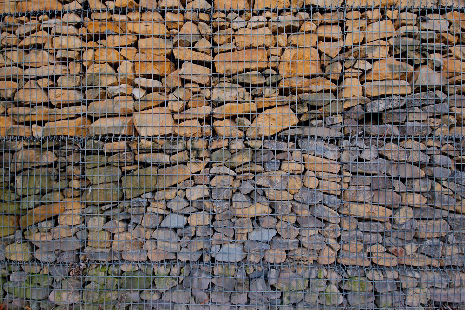 Canon EOS 6D sample photo. Pattern, rau, background photography