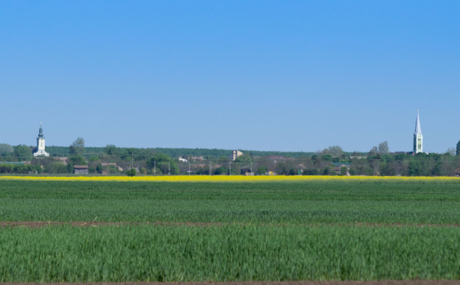 Nikon D3300 sample photo. Green, landscape, nature photography