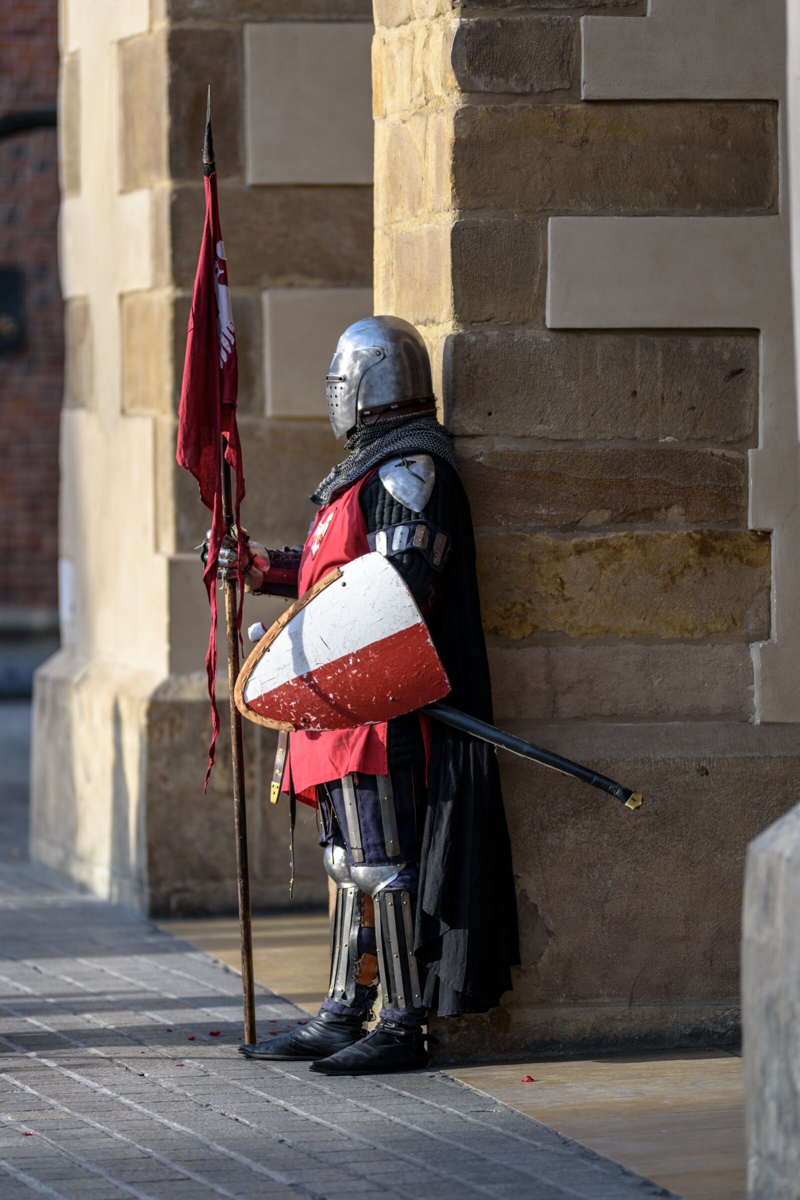 Nikon D750 sample photo. Knight, armor, armament photography