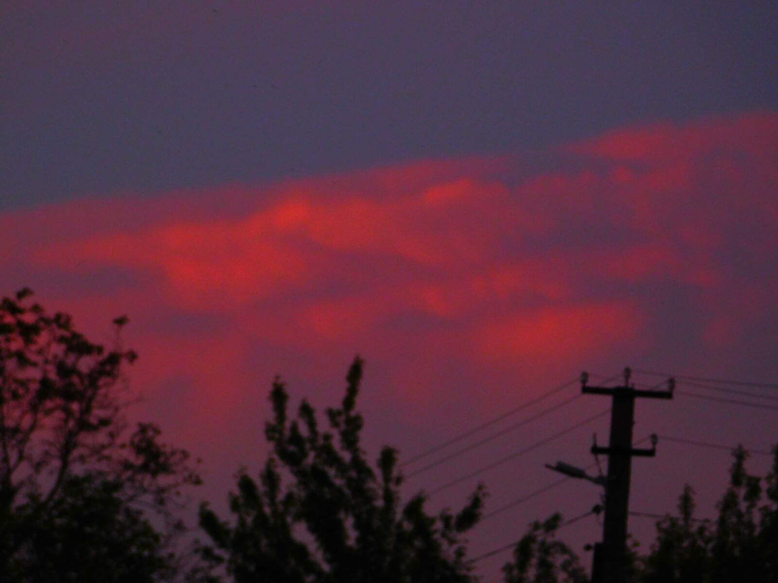 Nikon Coolpix L840 sample photo