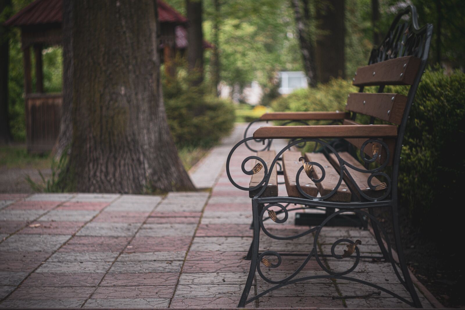 Fujifilm X-T3 sample photo. Bench, park, garden photography