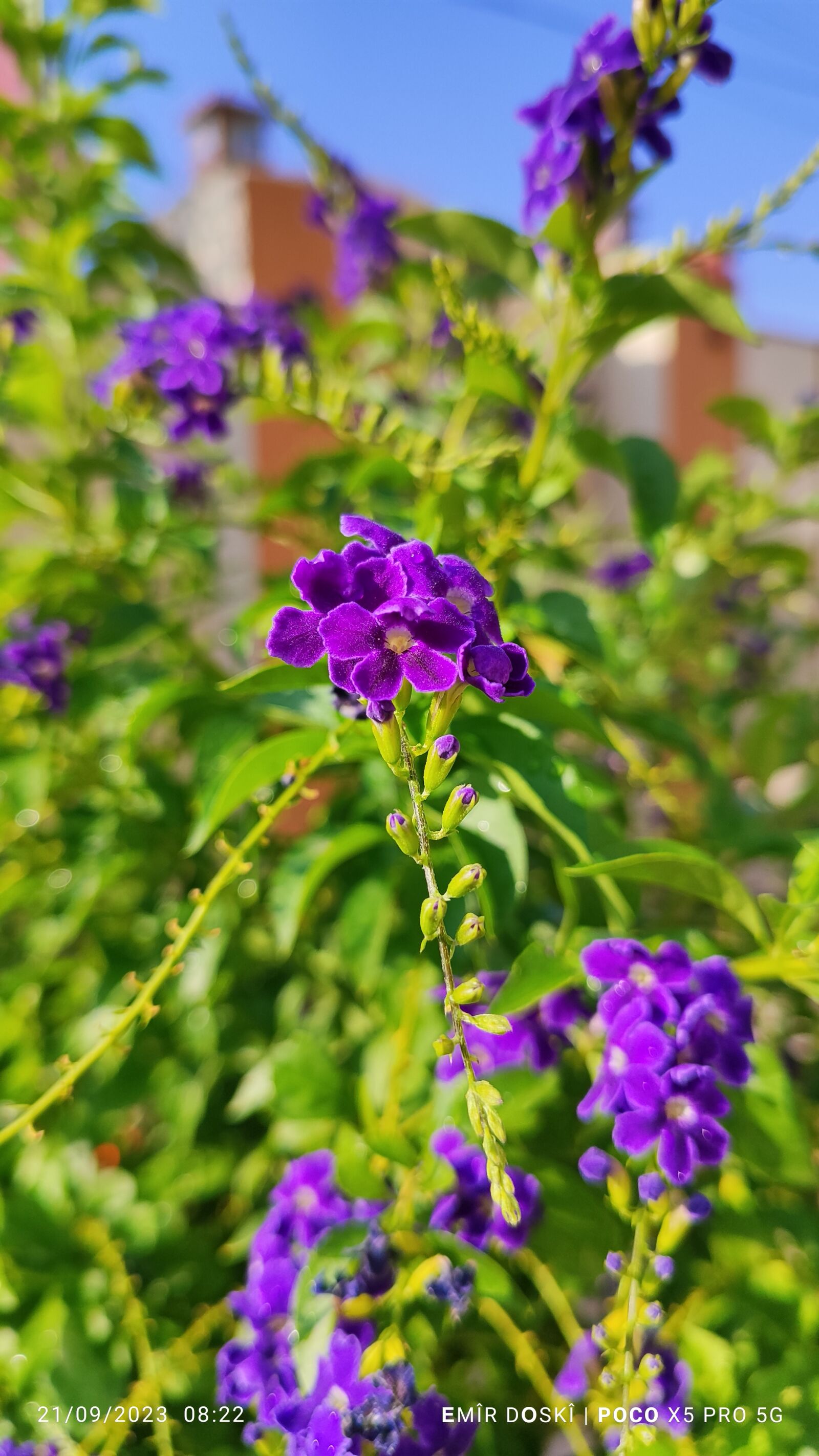 Xiaomi 22101320G sample photo. Poco x5 pro photography photography