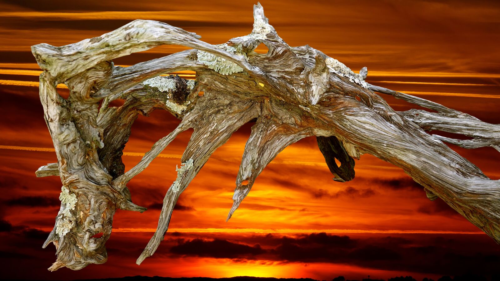 Sony Cyber-shot DSC-RX10 III sample photo. Nature, wood solidified photography