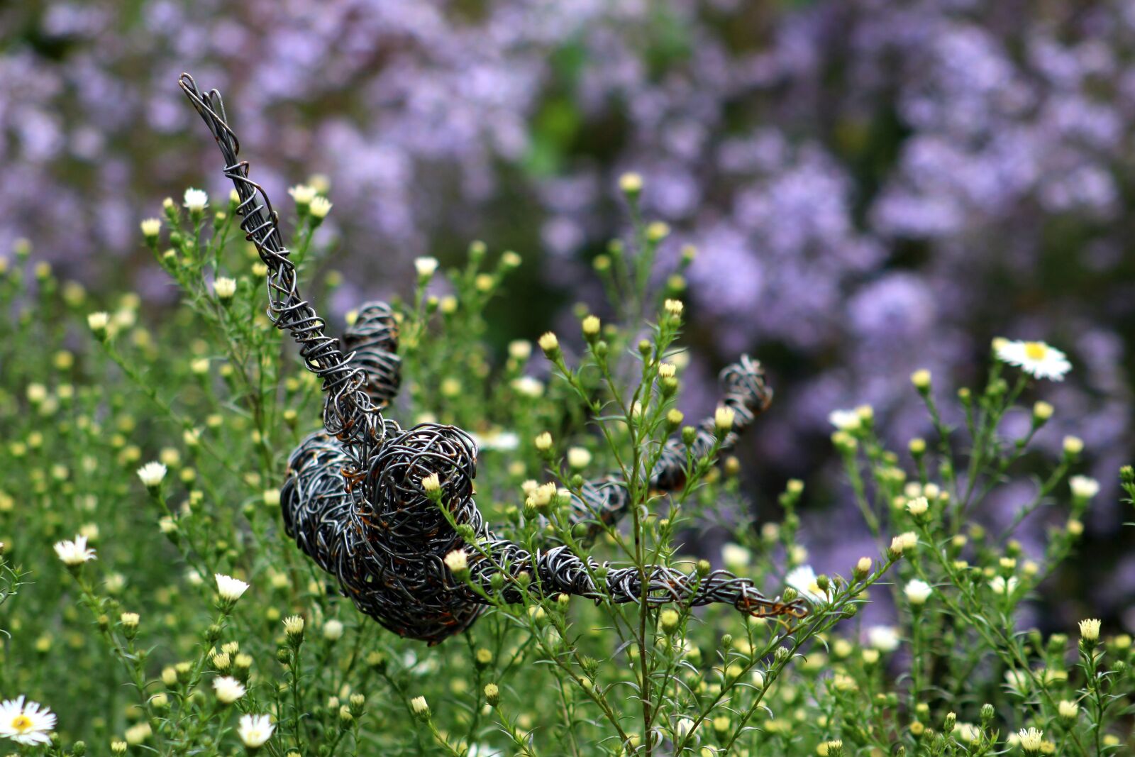 Canon EF 75-300mm f/4-5.6 sample photo. Garden, sculpture, flying photography