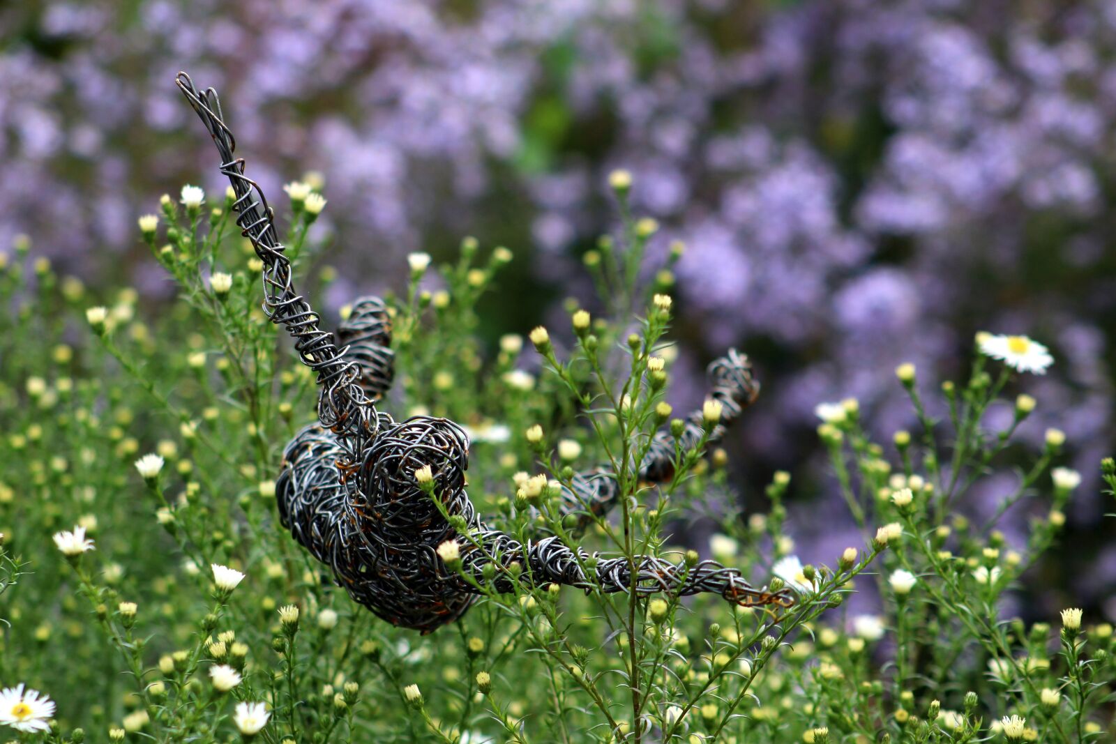 Canon EOS 1300D (EOS Rebel T6 / EOS Kiss X80) + Canon EF 75-300mm f/4-5.6 sample photo. Garden, sculpture, flying photography