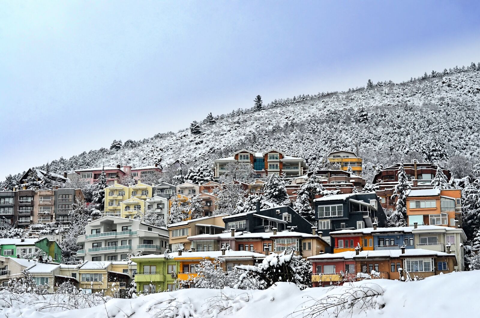 Nikon D5100 sample photo. Kiis, winter, snow photography