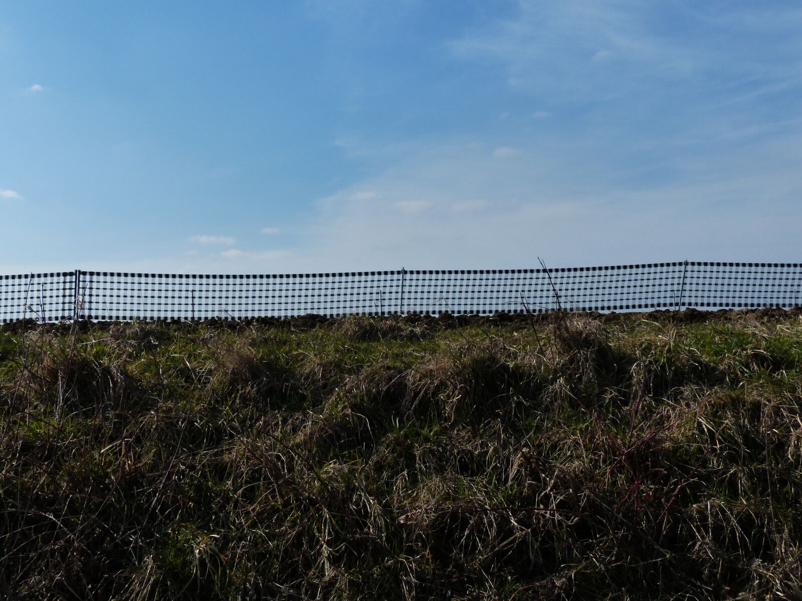 Panasonic Lumix DMC-FZ200 sample photo. Snow fence, fence, braid photography