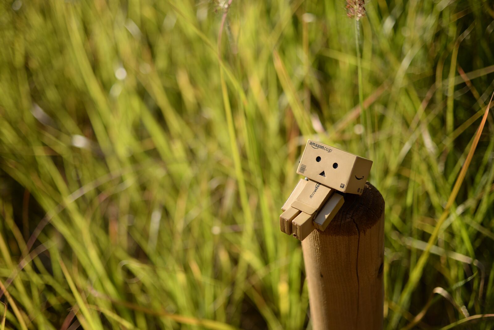 Nikon D610 sample photo. Autumn, danbo, doll photography