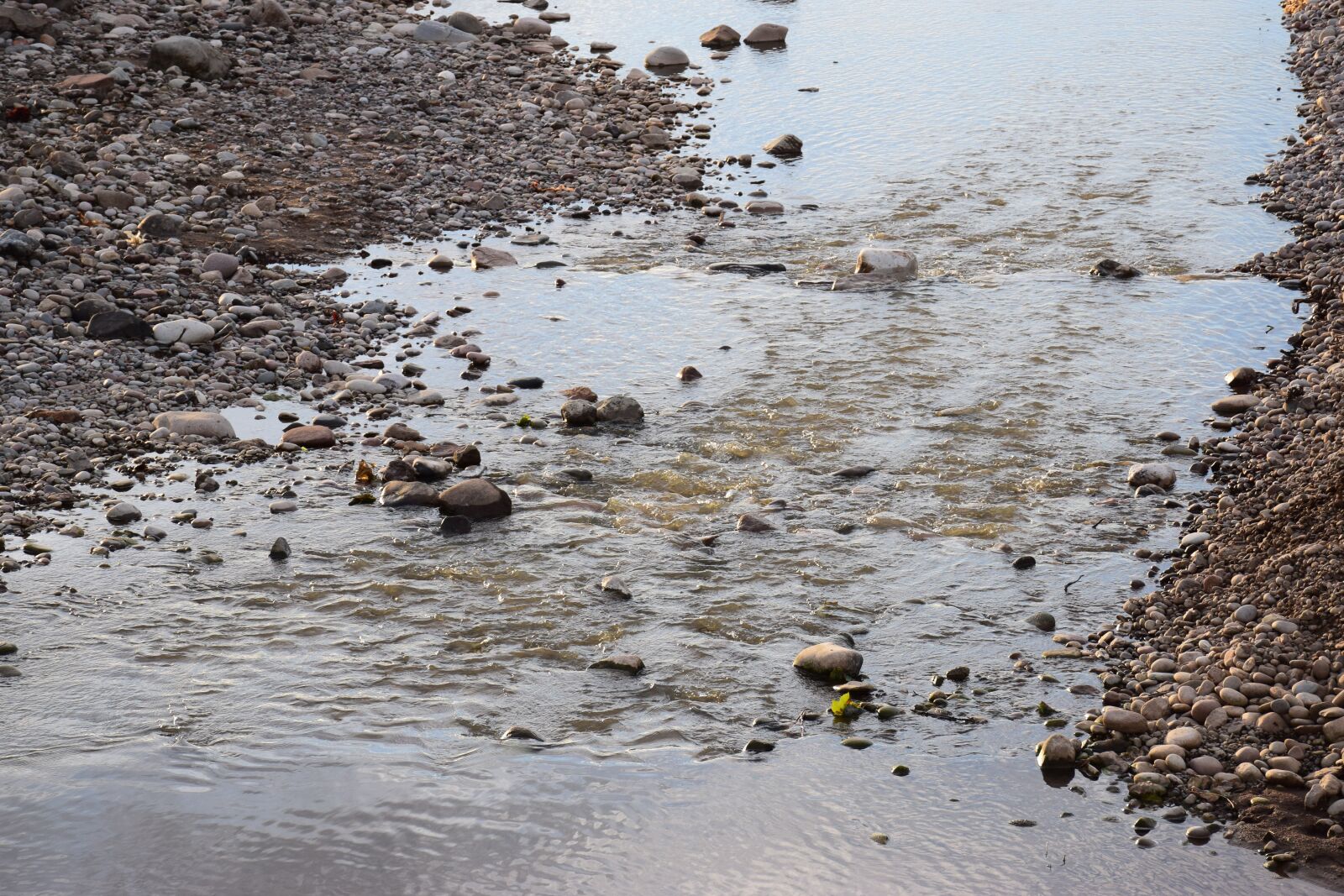 Nikon D5300 sample photo. New aberdour beach, scotland photography