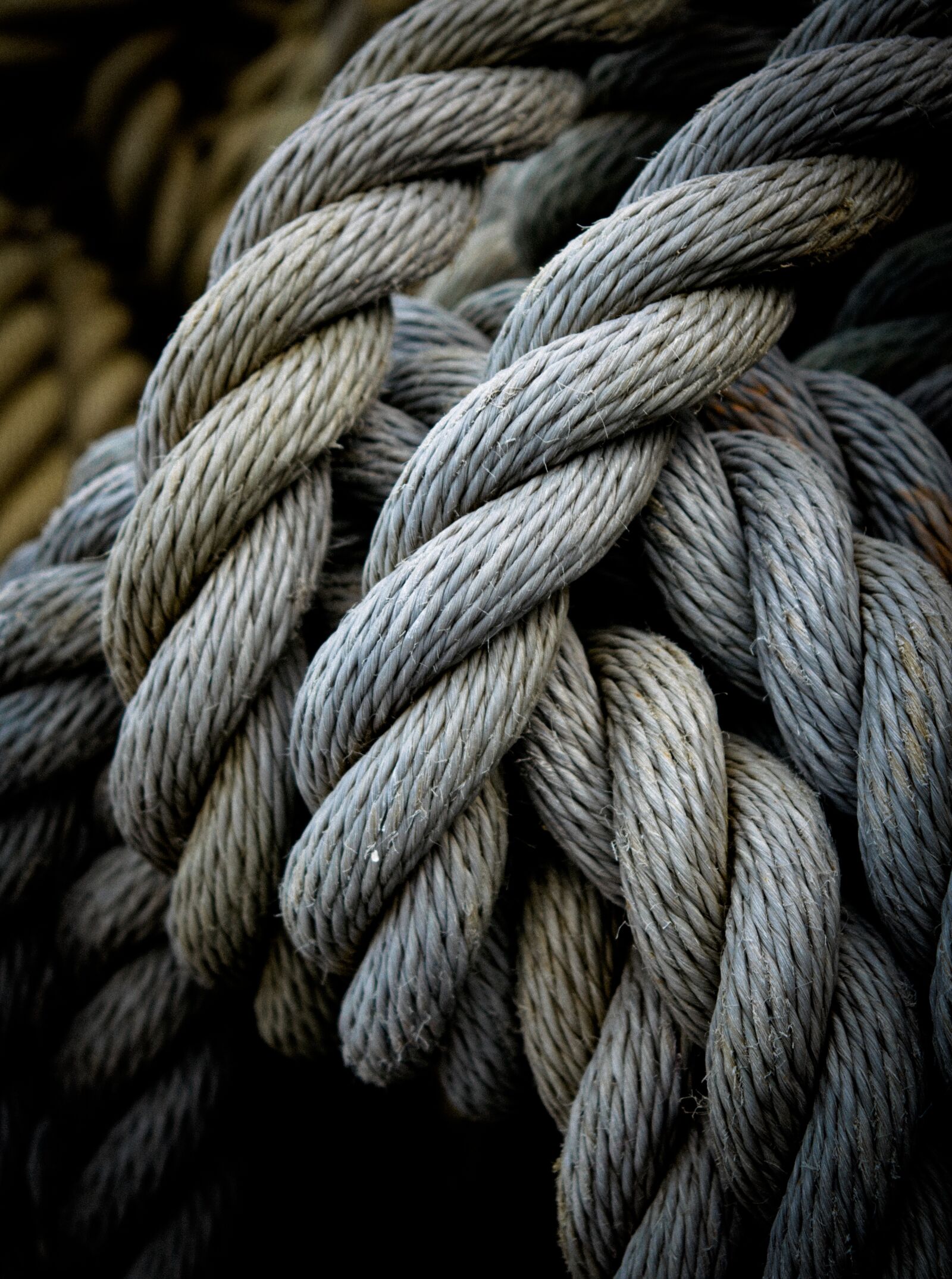 Nikon D5300 sample photo. Rope, coil, nautical photography