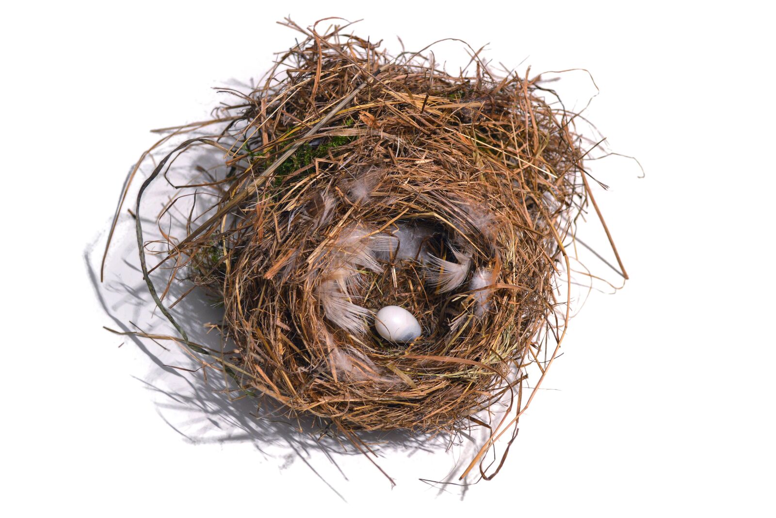 Nikon D3200 sample photo. Nest, bird's nest, bird photography