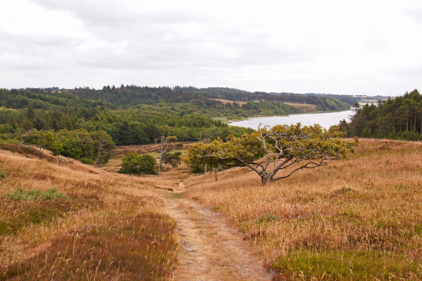 Canon EOS 50D sample photo. Thy, jutland, denmark photography