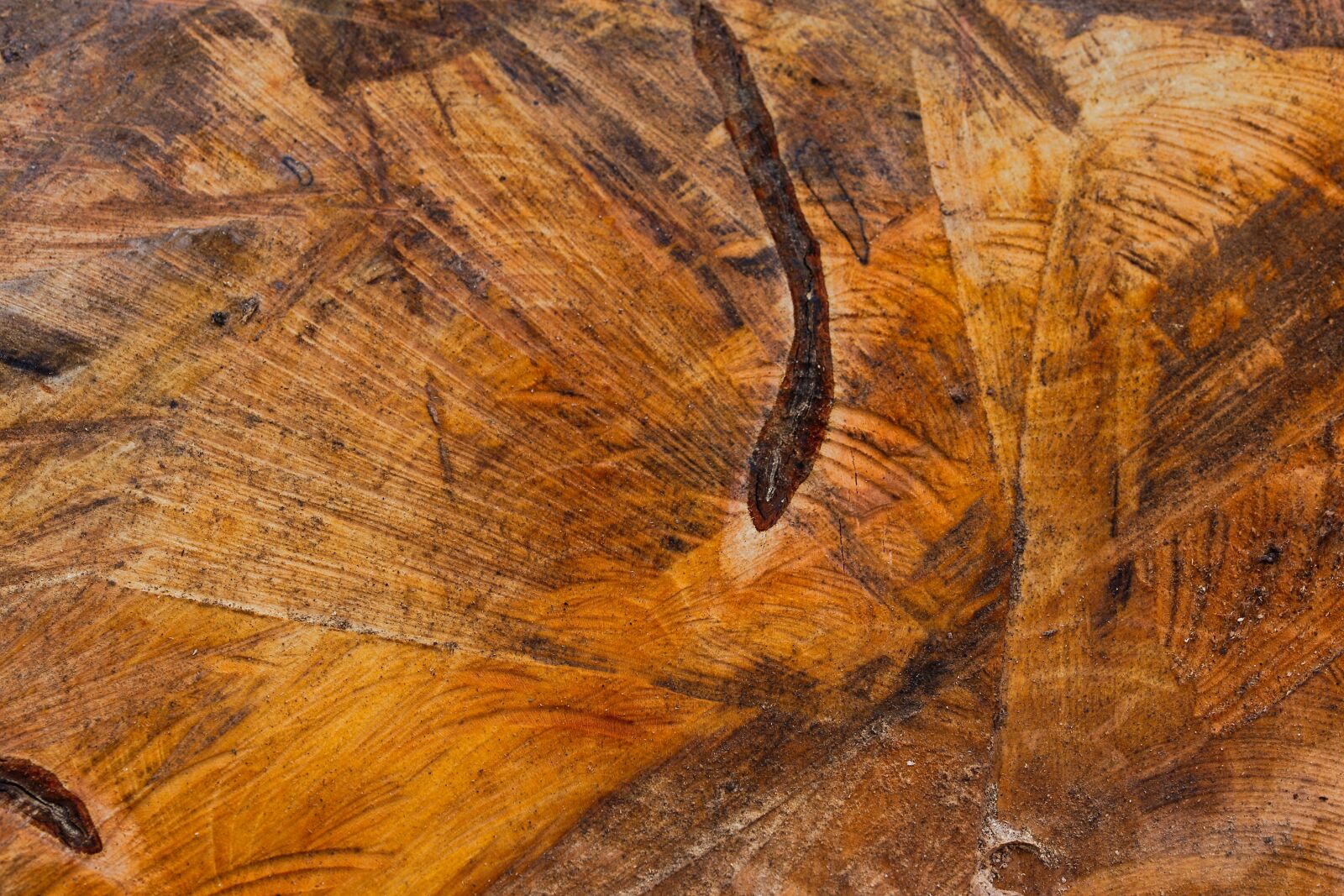 Canon EOS 6D sample photo. Nature, background, pattern photography