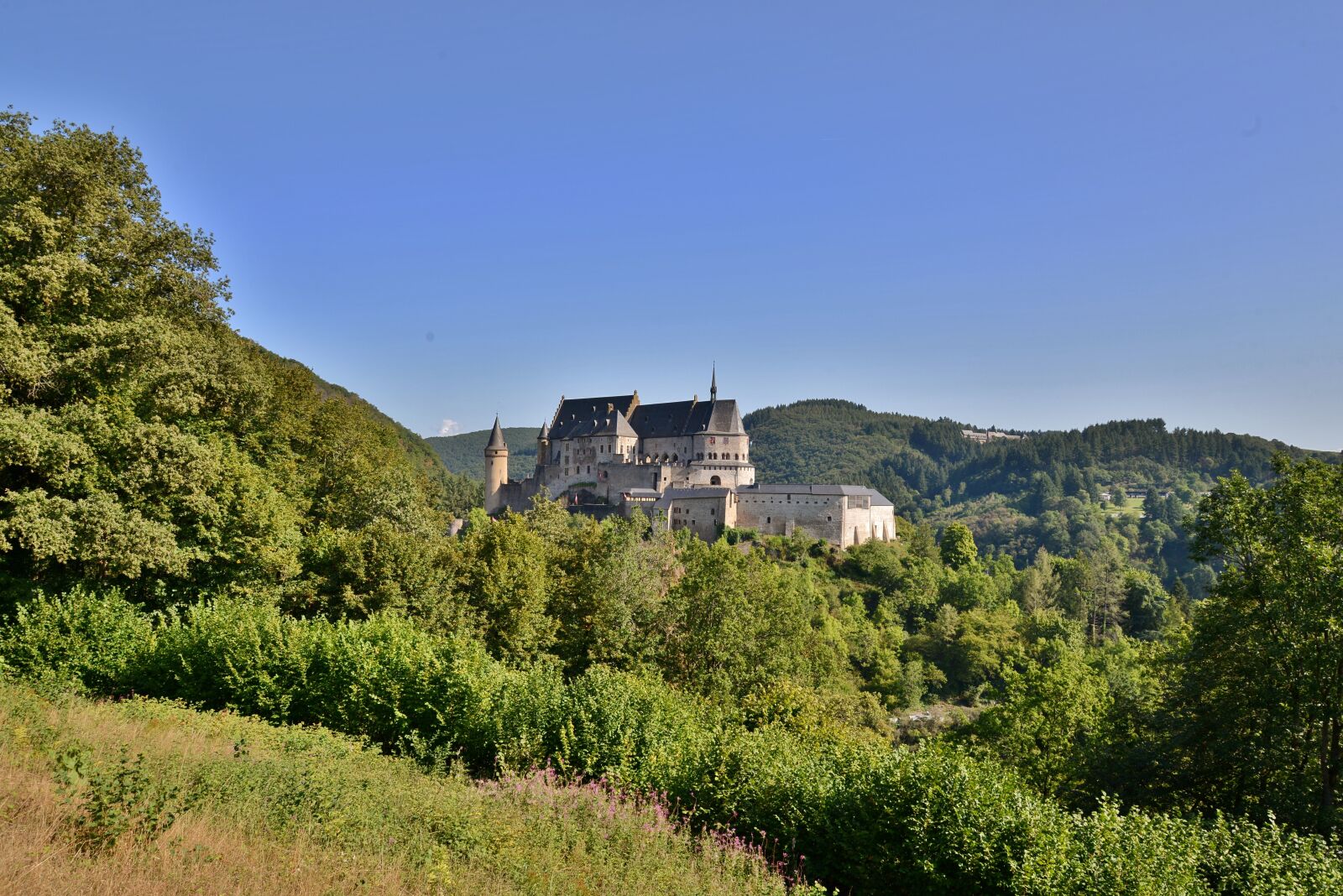 Nikon D600 sample photo. Castle, landscape, architecture photography