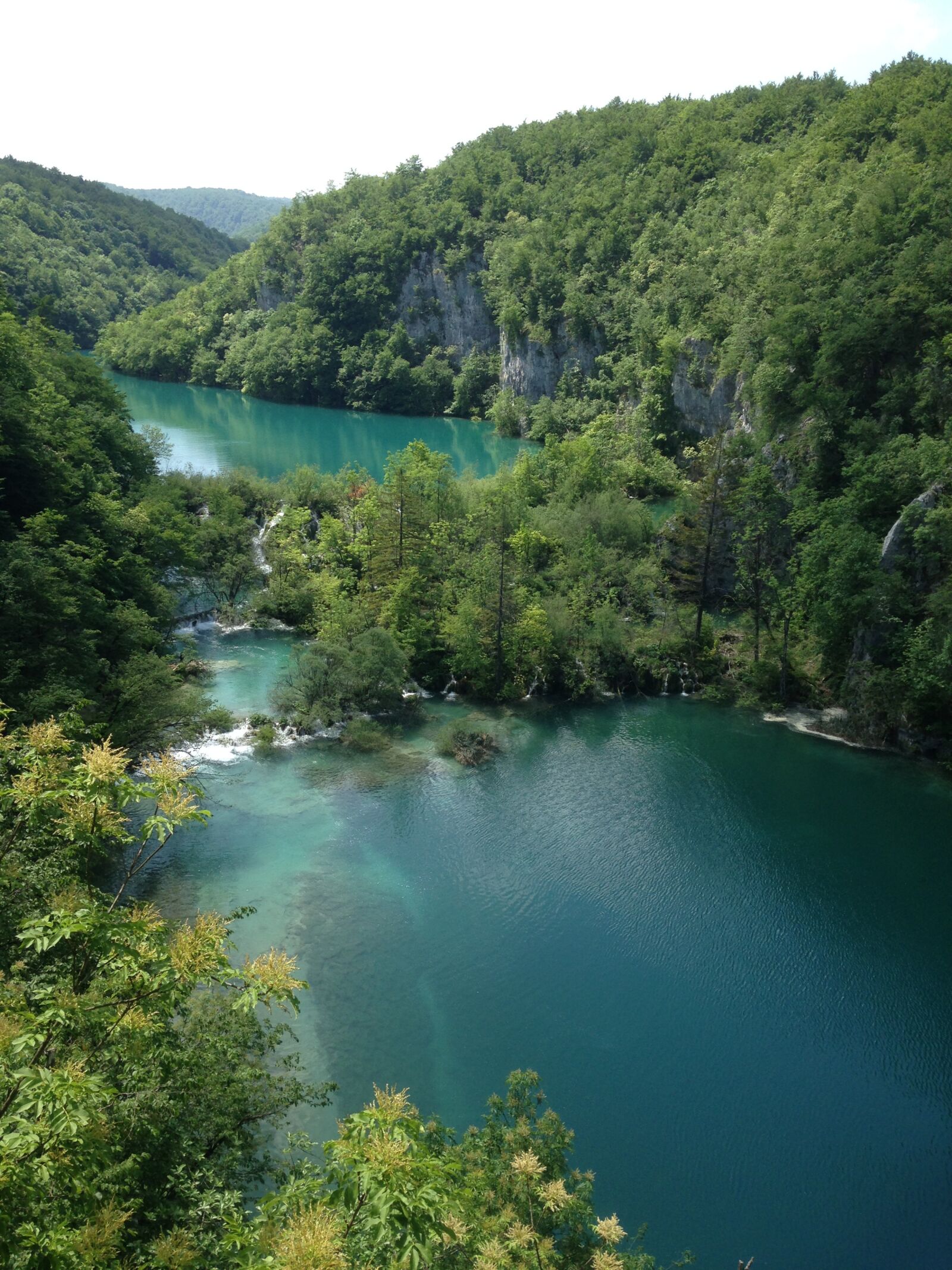 iPhone 5c back camera 4.12mm f/2.4 sample photo. Water, nature, river photography