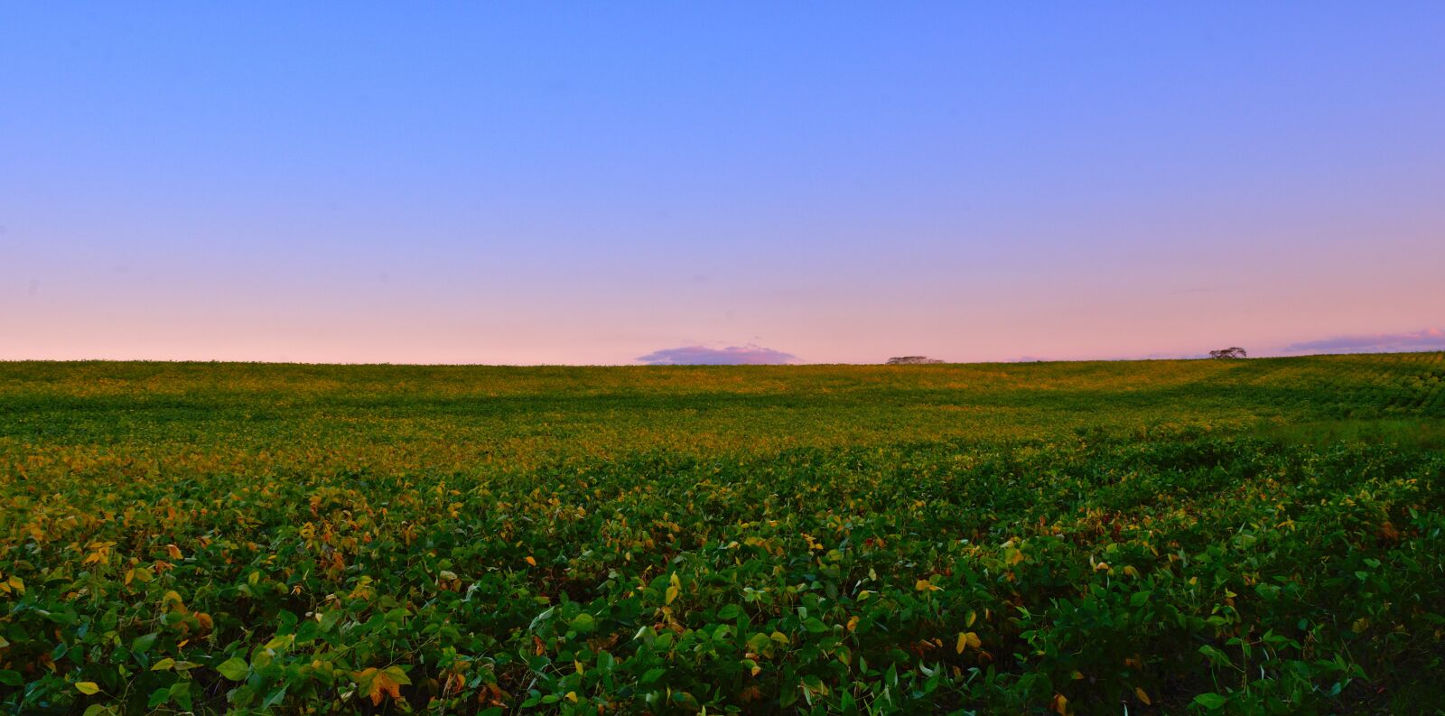 Nikon D7200 sample photo. Nature, panoramic, sky photography