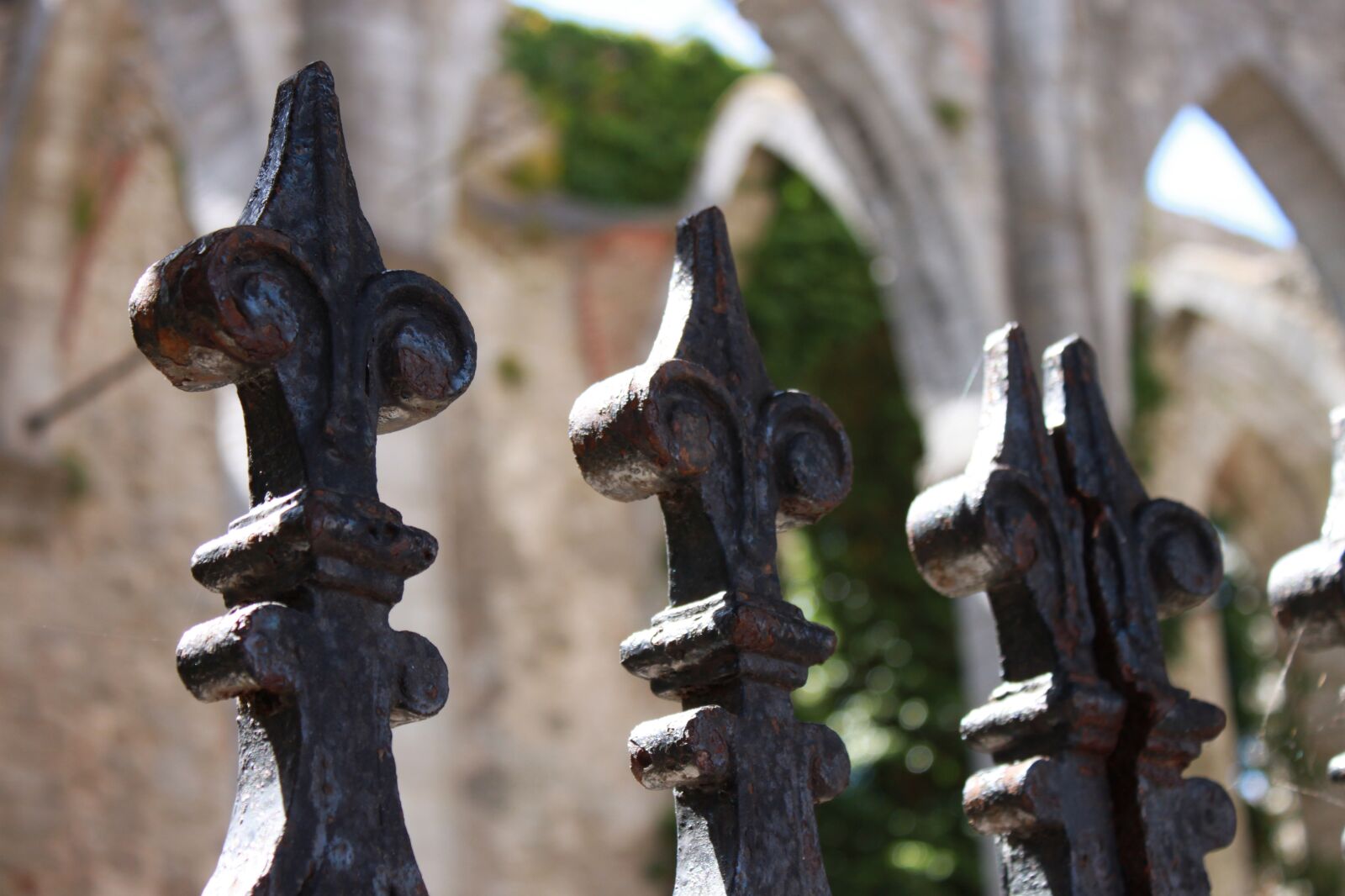 Canon EOS 500D (EOS Rebel T1i / EOS Kiss X3) sample photo. Fence, ruin, ivy photography