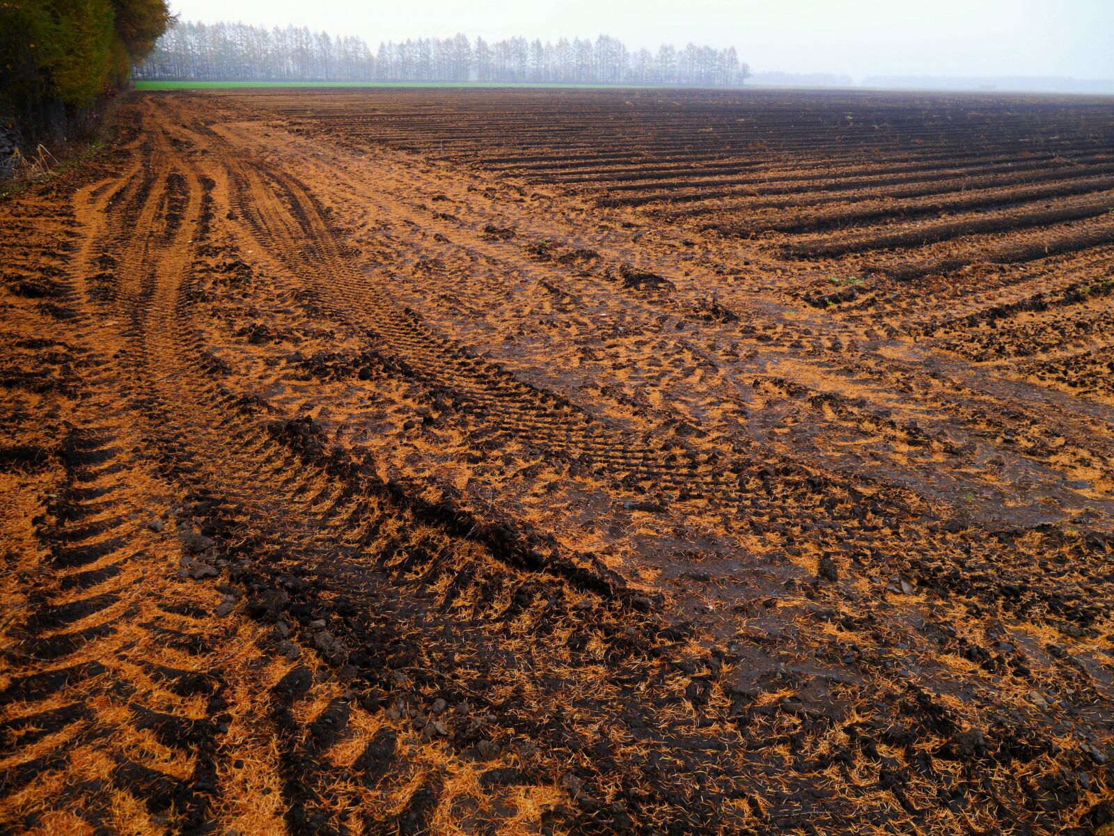Panasonic Lumix DMC-GX1 sample photo. Farmland, plow, tractor photography