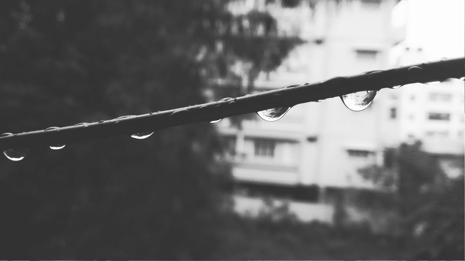 Motorola Moto G (2nd Gen) sample photo. Awesome, bengalore, droplet, drops photography