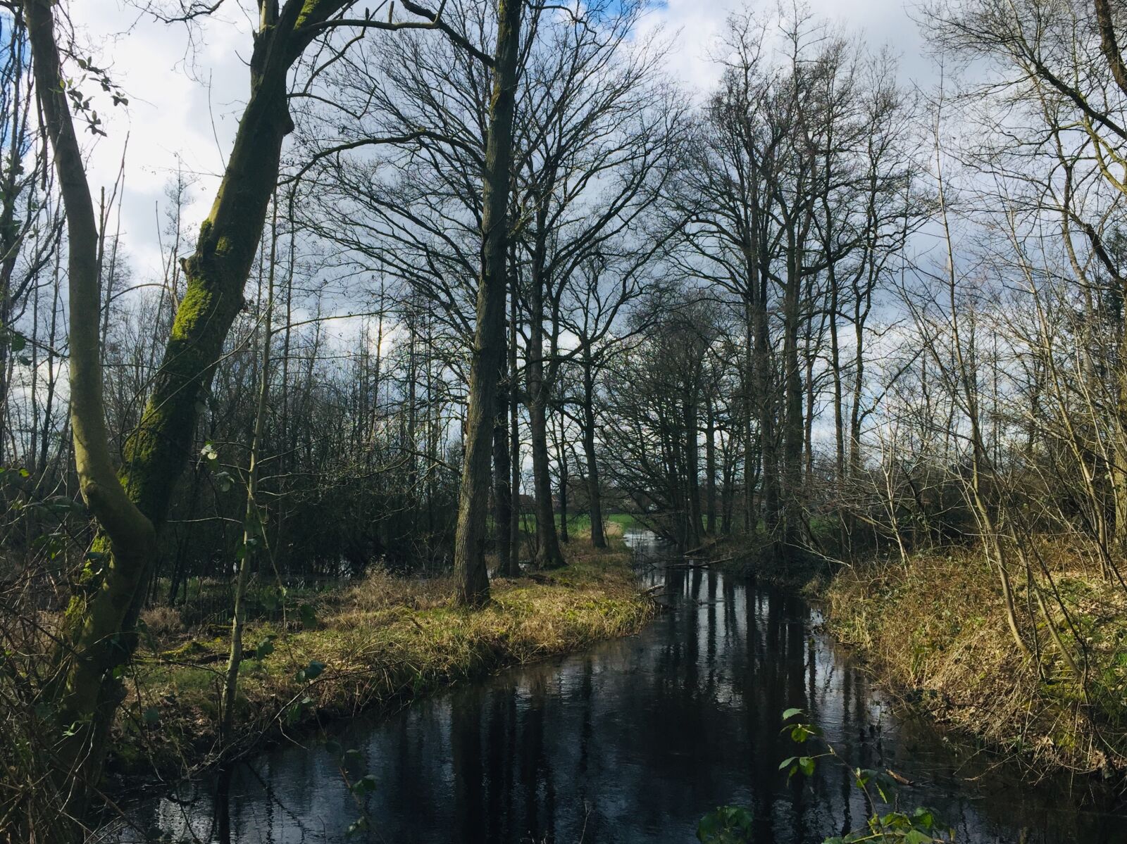iPhone 6 back camera 4.15mm f/2.2 sample photo. Belgium, nature, landscape photography
