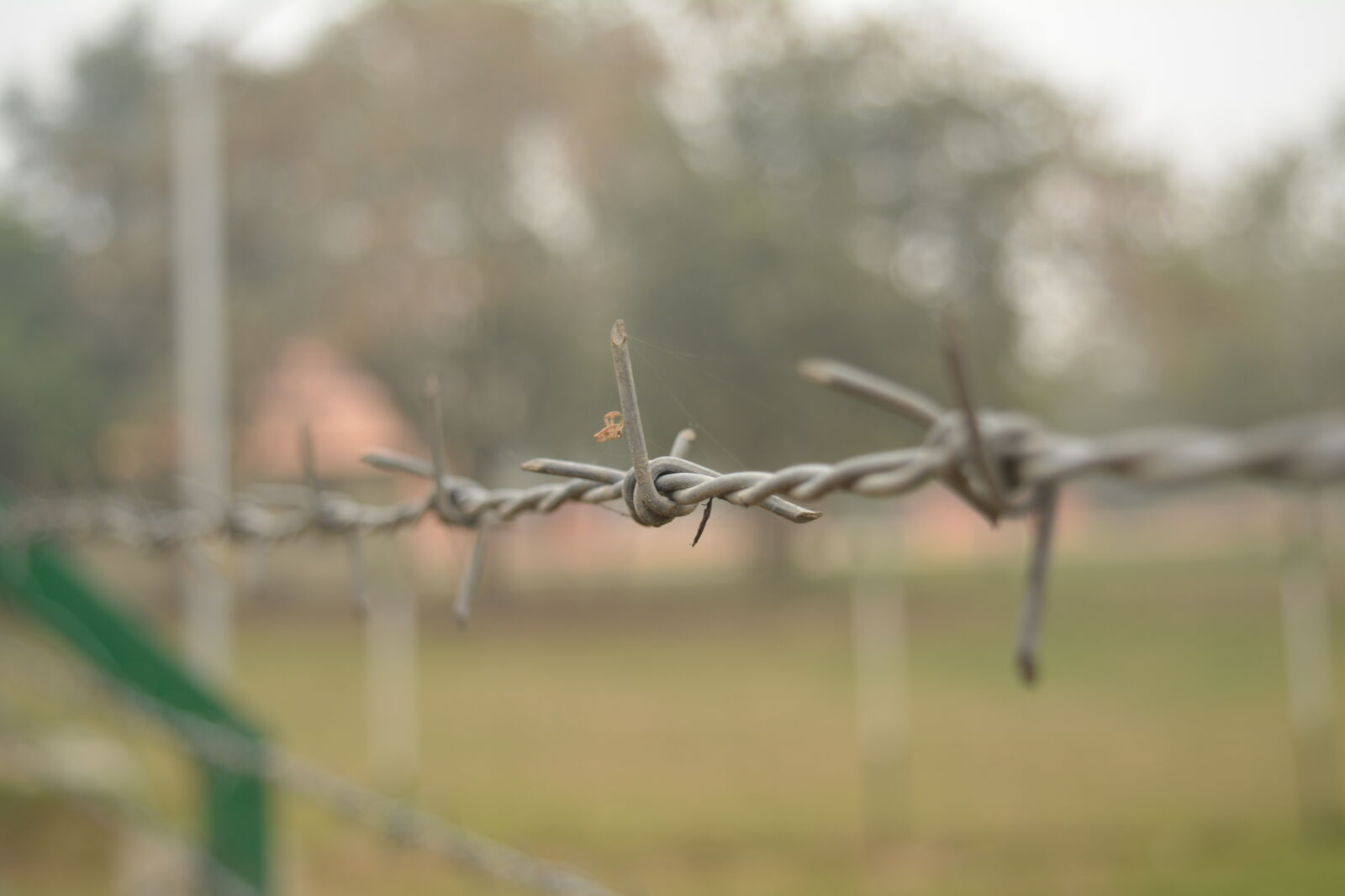 Nikon D5200 + Nikon AF-S DX Nikkor 18-55mm F3.5-5.6G VR II sample photo. Barbed, wire, bokeh, close photography