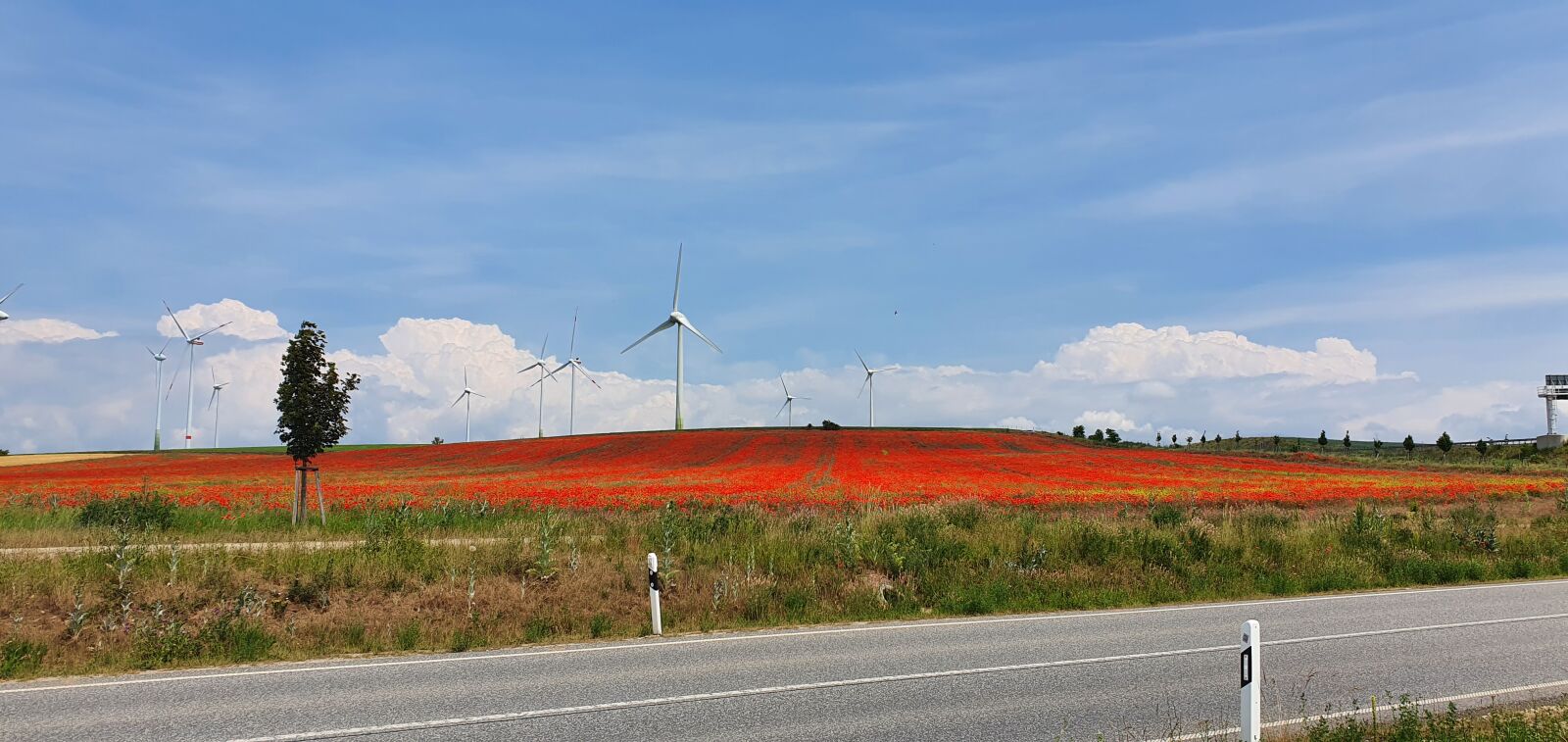 Samsung Galaxy S10 sample photo. Landscape, sky, windmills photography