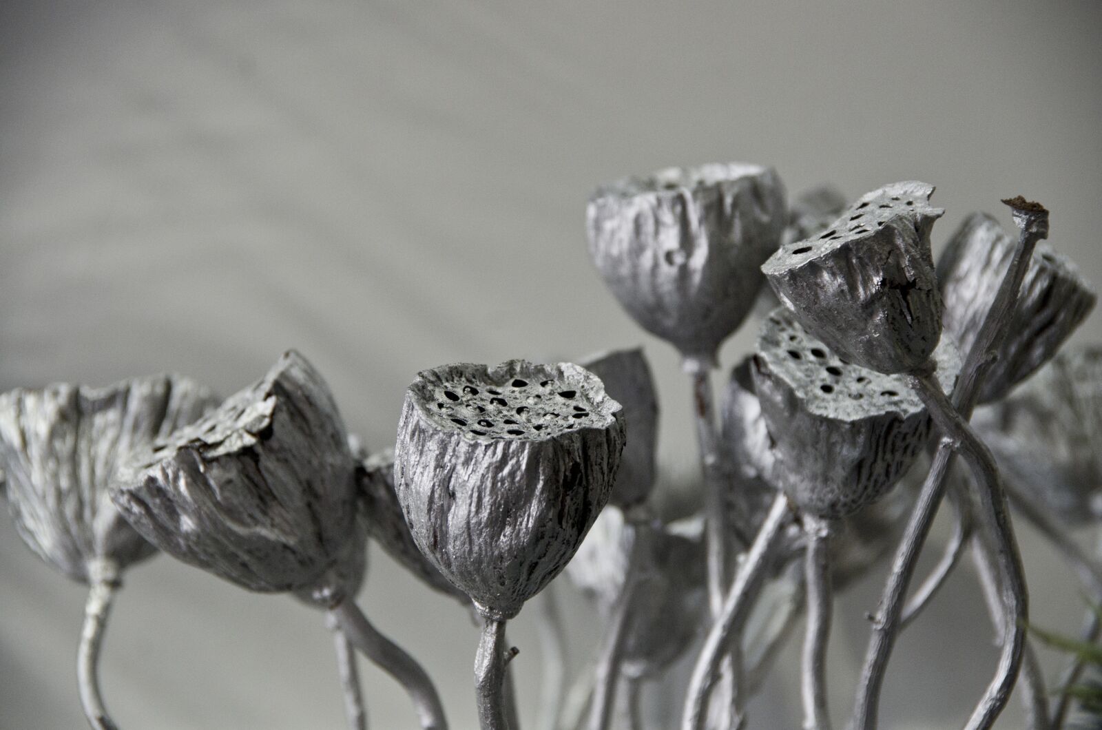 Pentax K-50 sample photo. Lotus root, silver, ornament photography
