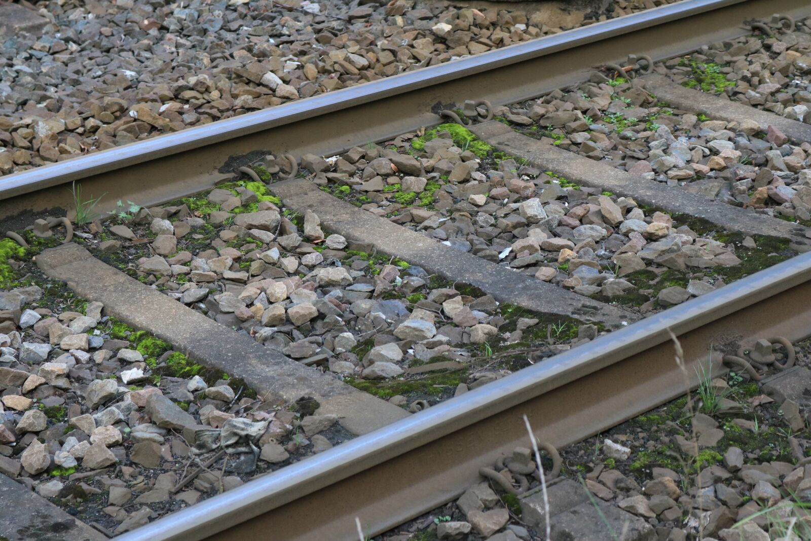 Canon EOS 750D (EOS Rebel T6i / EOS Kiss X8i) sample photo. Rails, railway line, railway photography