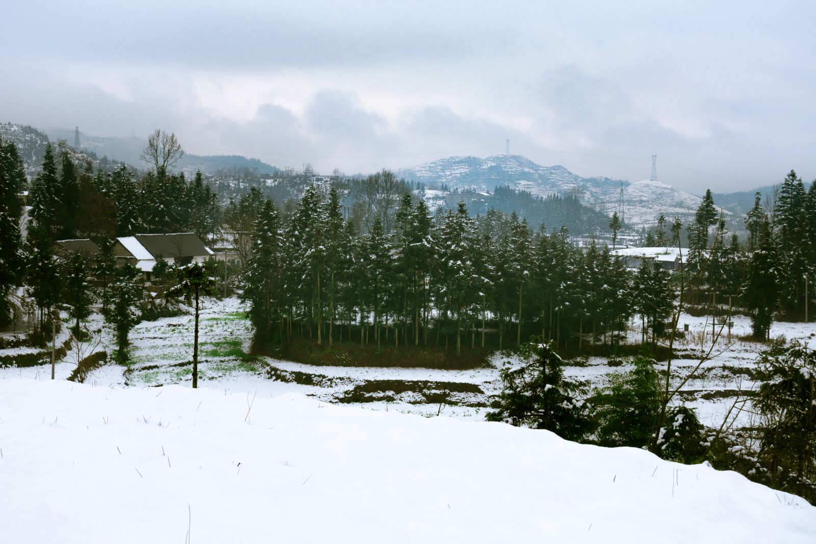 Nikon D3400 sample photo. Snow, mountain, woods photography
