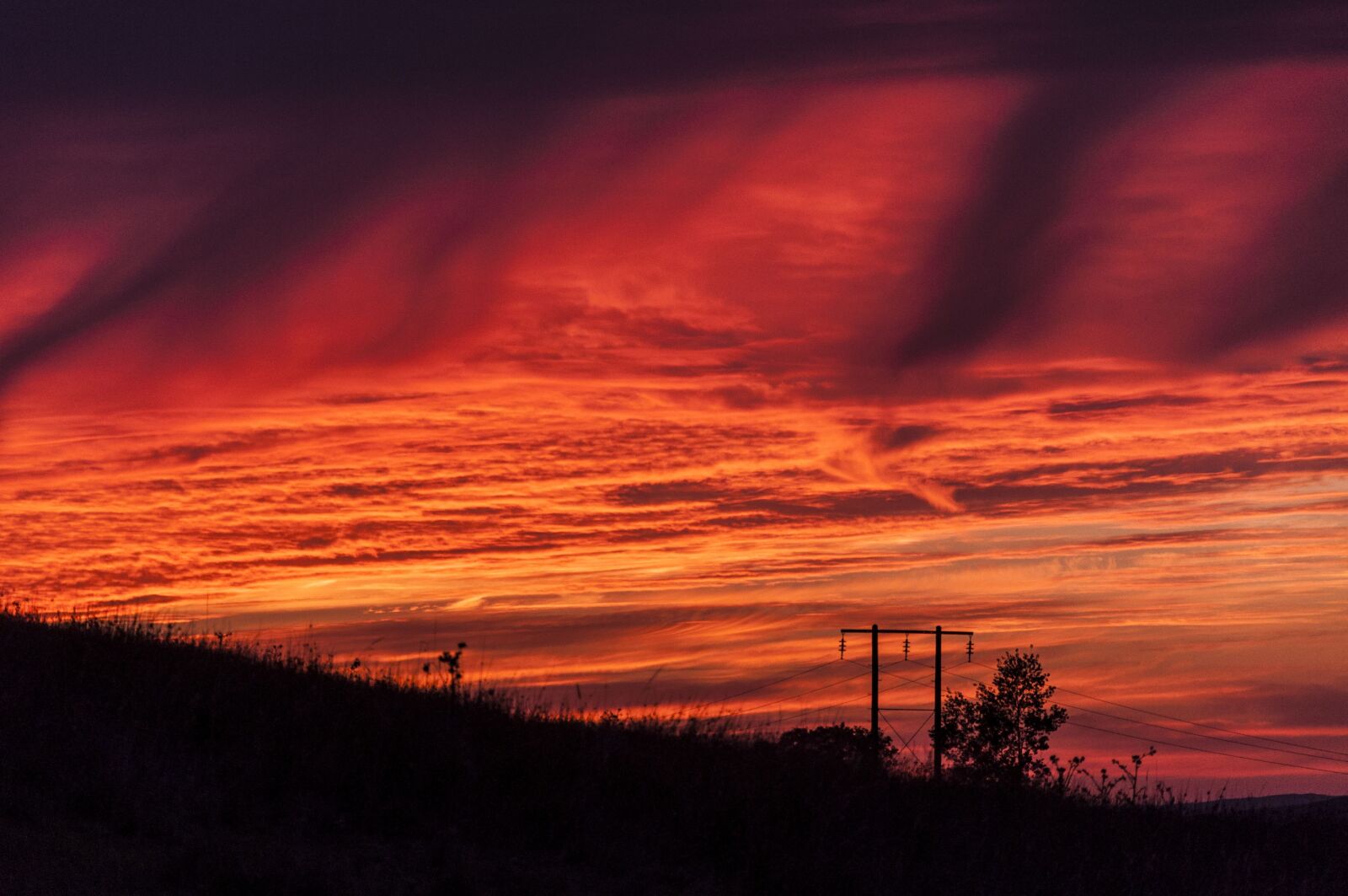 Nikon D90 sample photo. Sunset, sky, silhouette photography