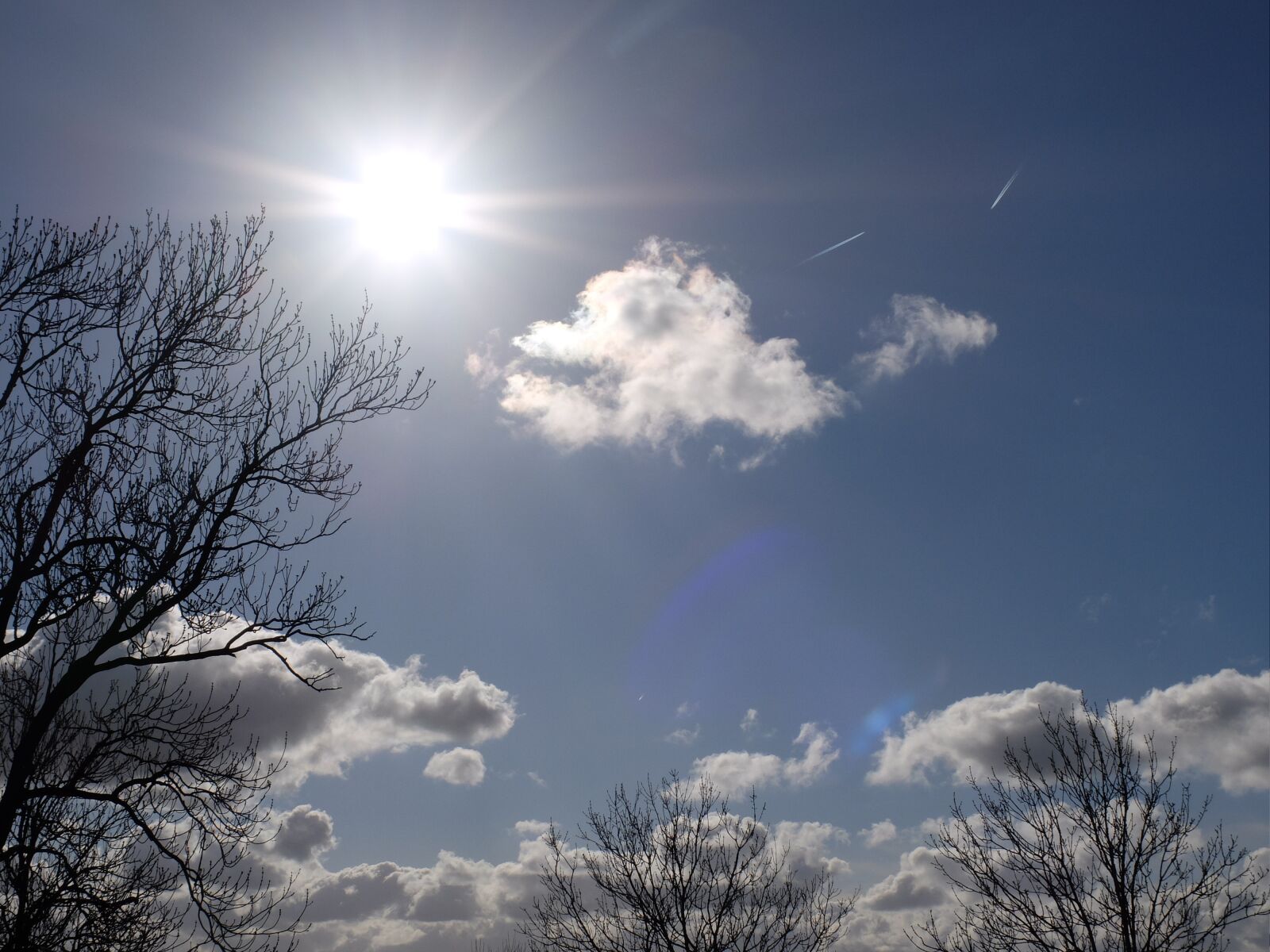 Fujifilm X30 sample photo. Sky, sun, tree photography