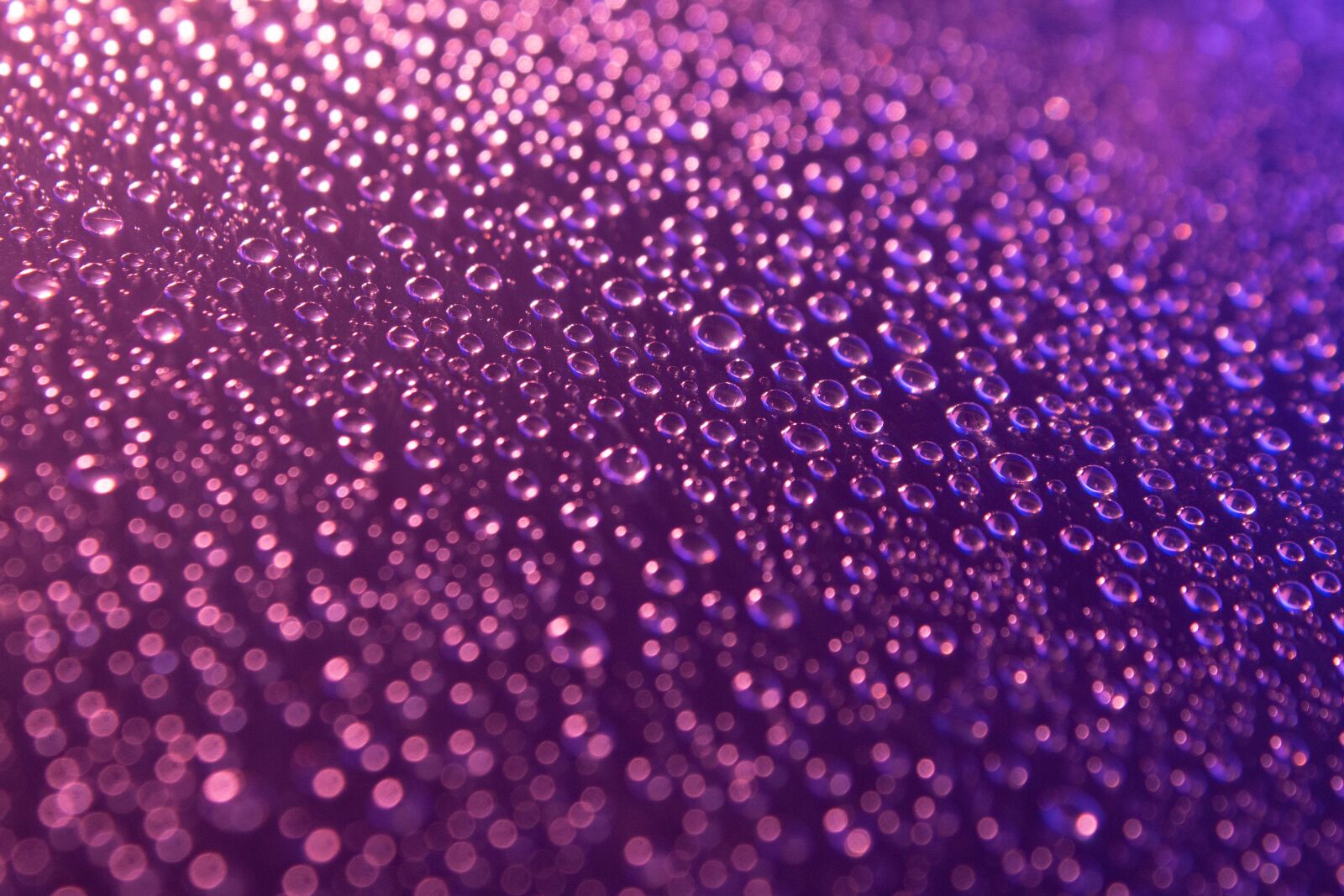 Canon EOS 70D sample photo. Splash, water, droplets photography