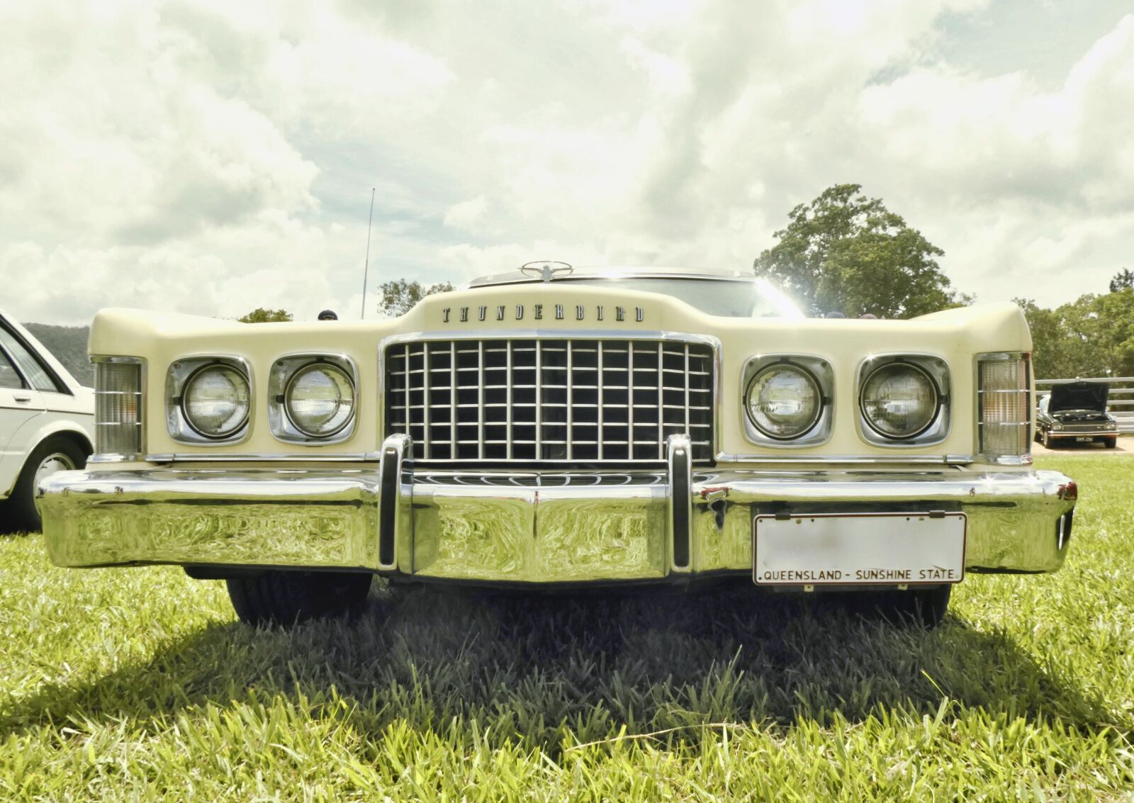 Panasonic Lumix DC-ZS70 (Lumix DC-TZ90) sample photo. Vintage, thunderbird, grill photography
