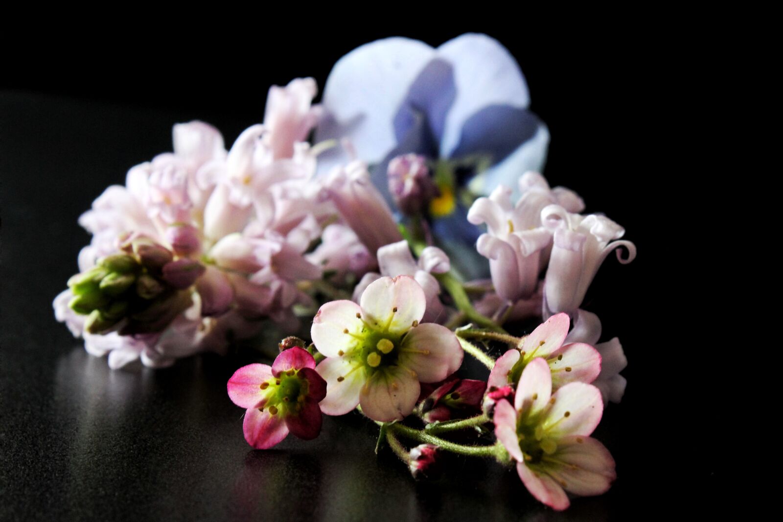 Canon EOS 1300D (EOS Rebel T6 / EOS Kiss X80) sample photo. Spring, flowers, background photography