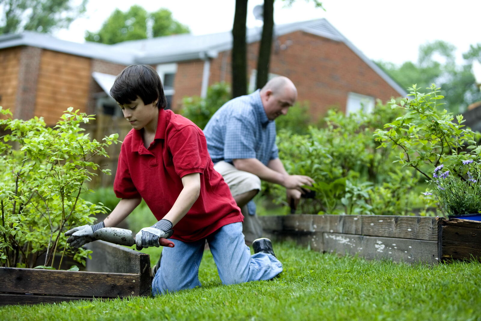 Canon EOS-1Ds Mark II sample photo. Father, son, fertilizing, garden photography