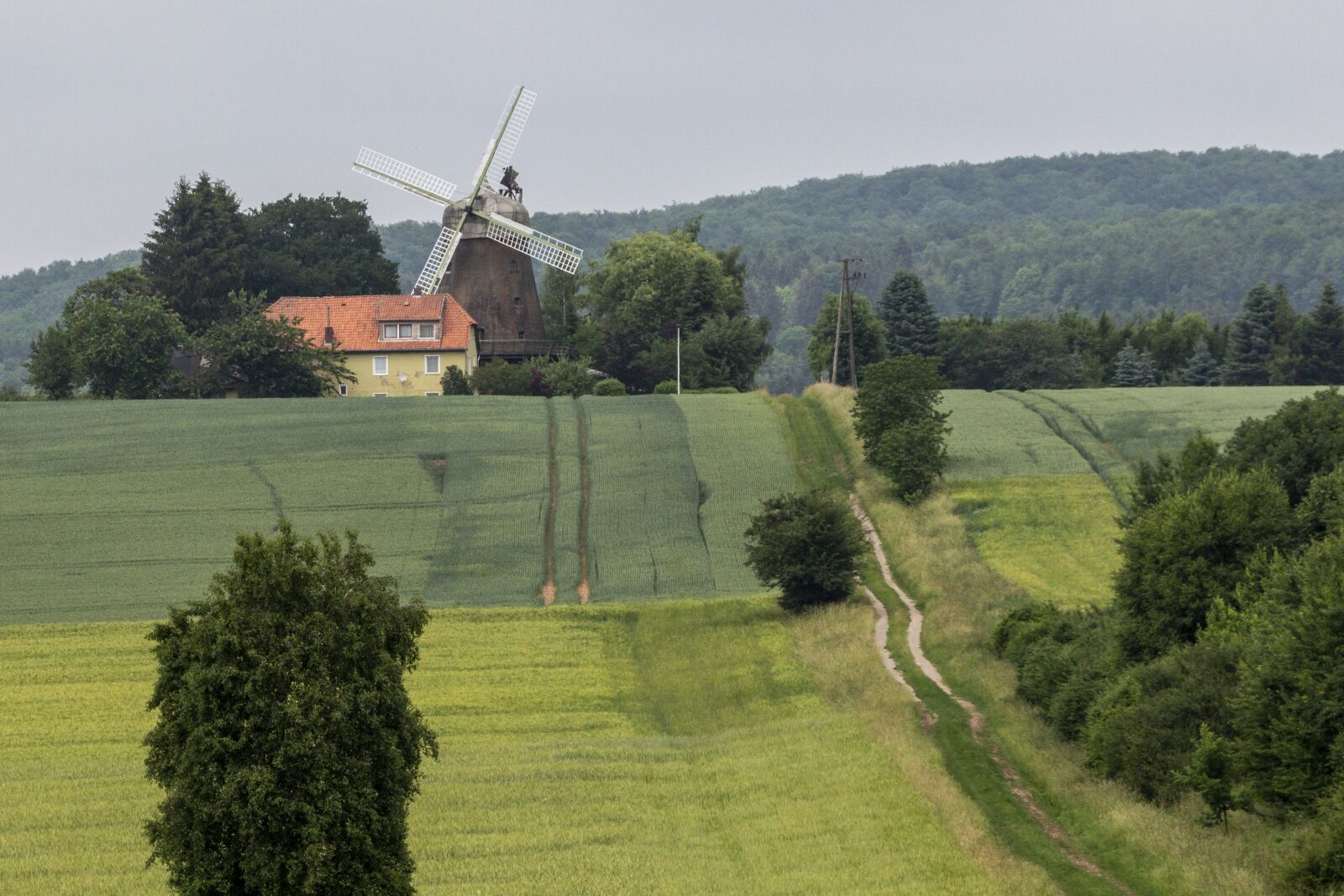 Canon EOS 650D (EOS Rebel T4i / EOS Kiss X6i) sample photo. Landscape, forest, nature photography