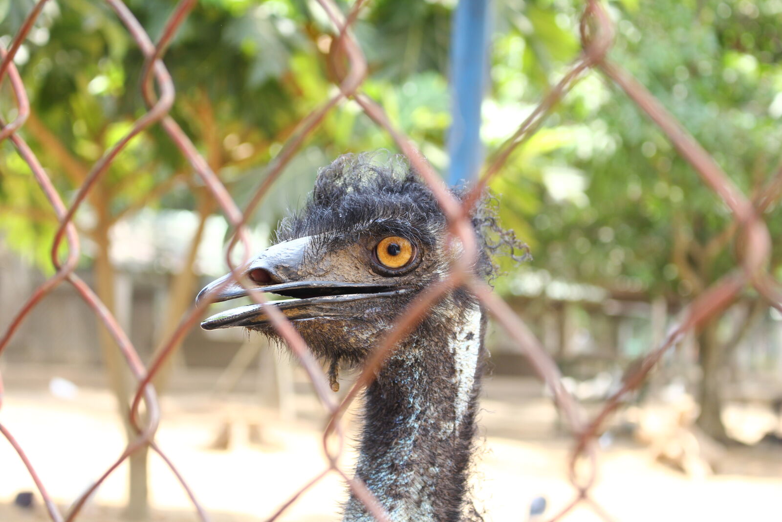 Canon EOS 700D (EOS Rebel T5i / EOS Kiss X7i) sample photo