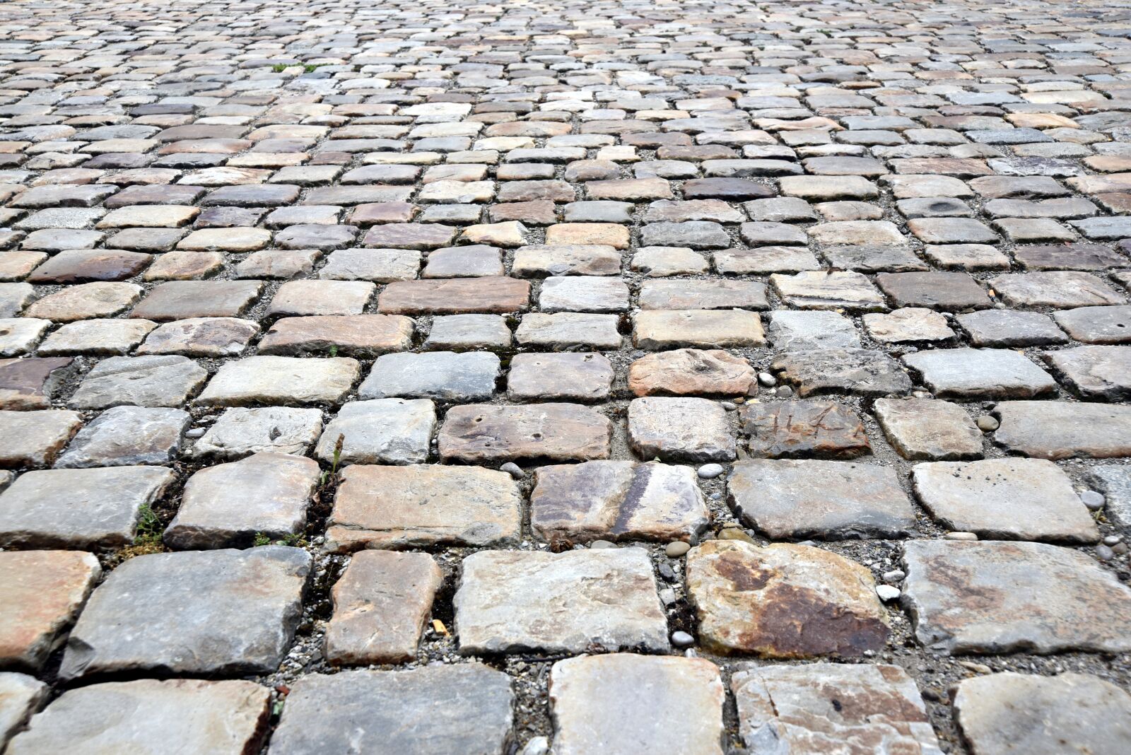 Nikon D750 sample photo. Patch, cobblestones, paving stones photography