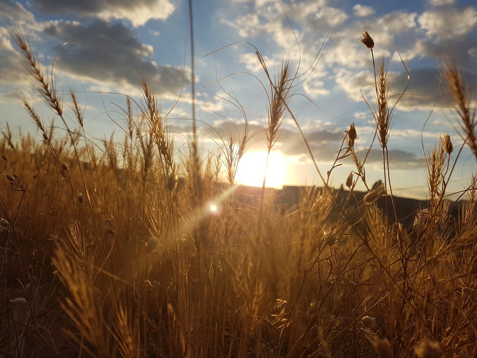 Samsung Galaxy S7 Edge sample photo. Cappadocia, wheat of virgo photography