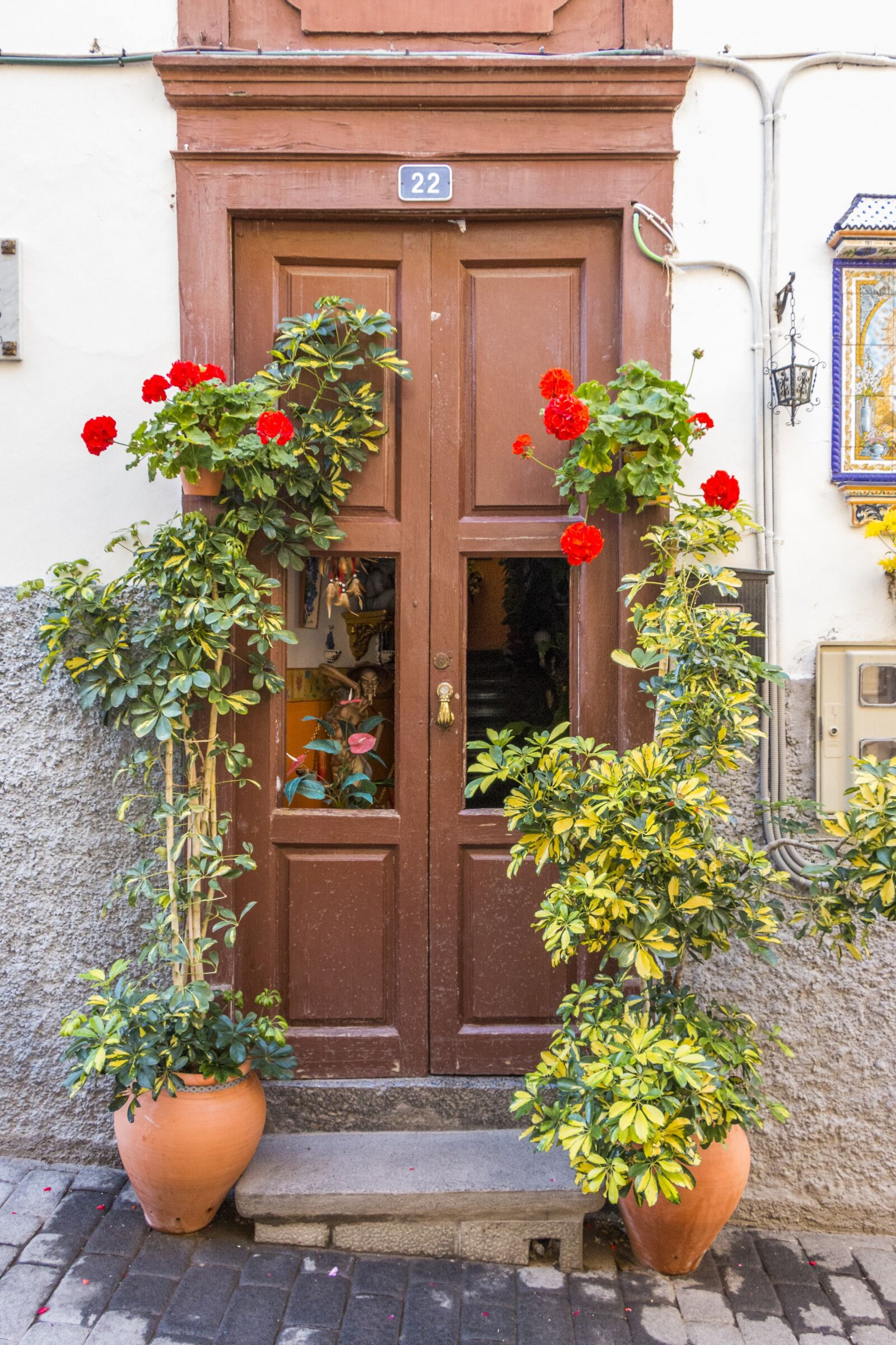 Canon EOS 70D sample photo. Door, goal, old door photography