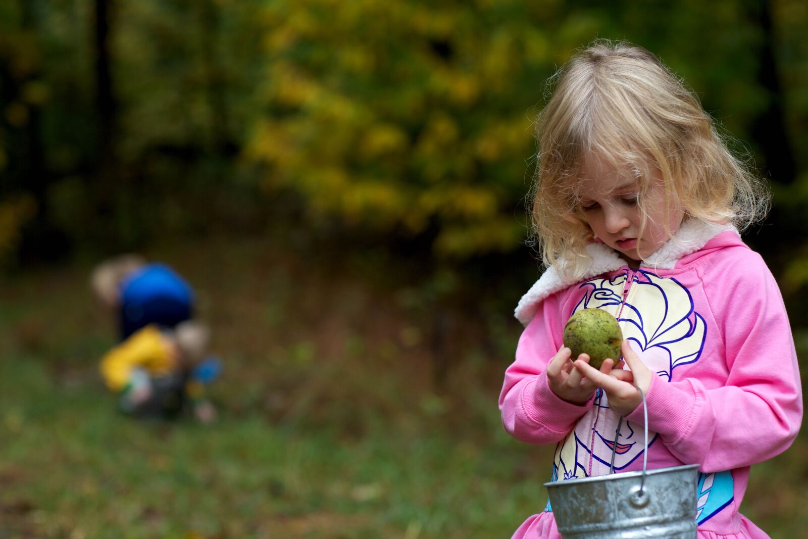 Canon EOS 5D Mark III sample photo. Young girl, examine, walnut photography