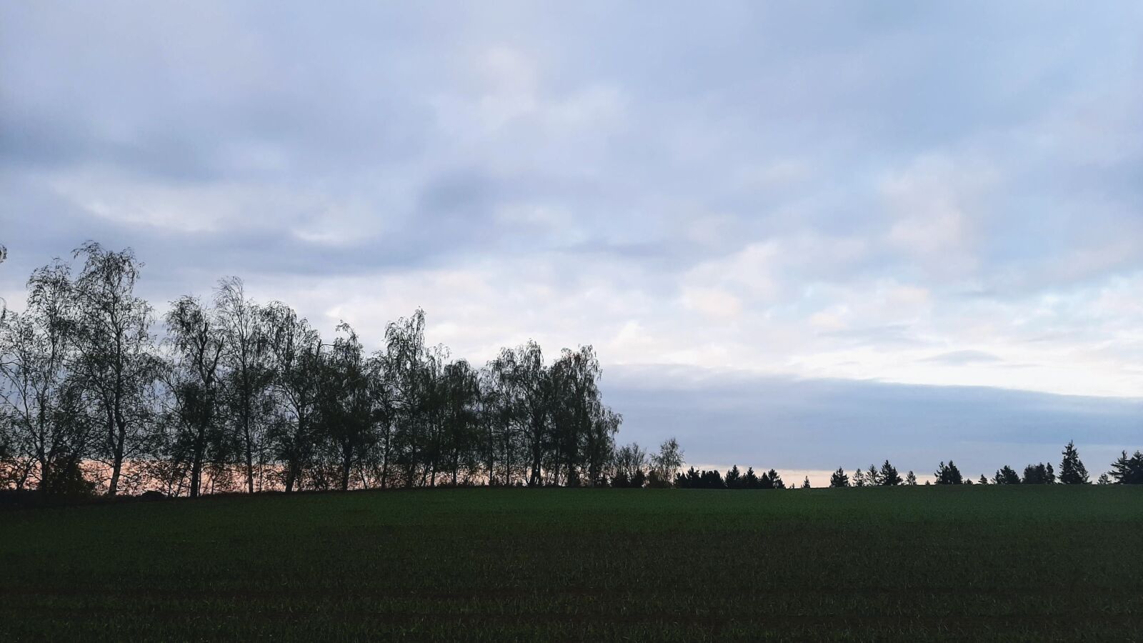 Samsung Galaxy A50 sample photo. Nature, sky, heaven photography