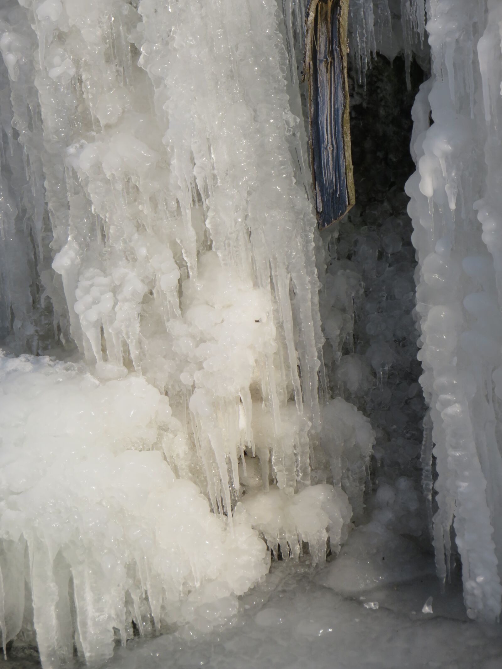 Canon PowerShot SX710 HS sample photo. Nature, winter, ice photography
