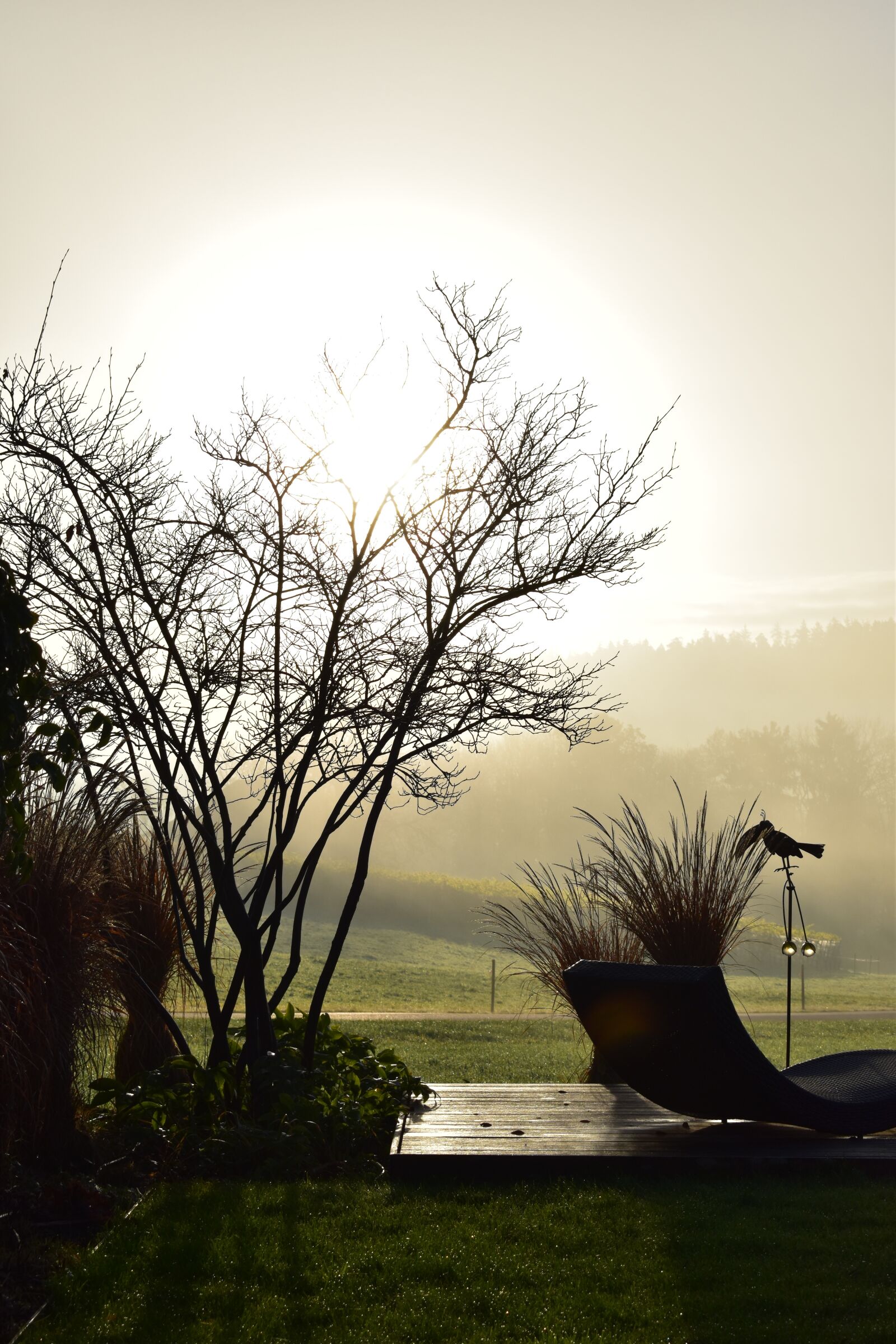 Nikon D5500 sample photo. Landscape, fog, morning sun photography