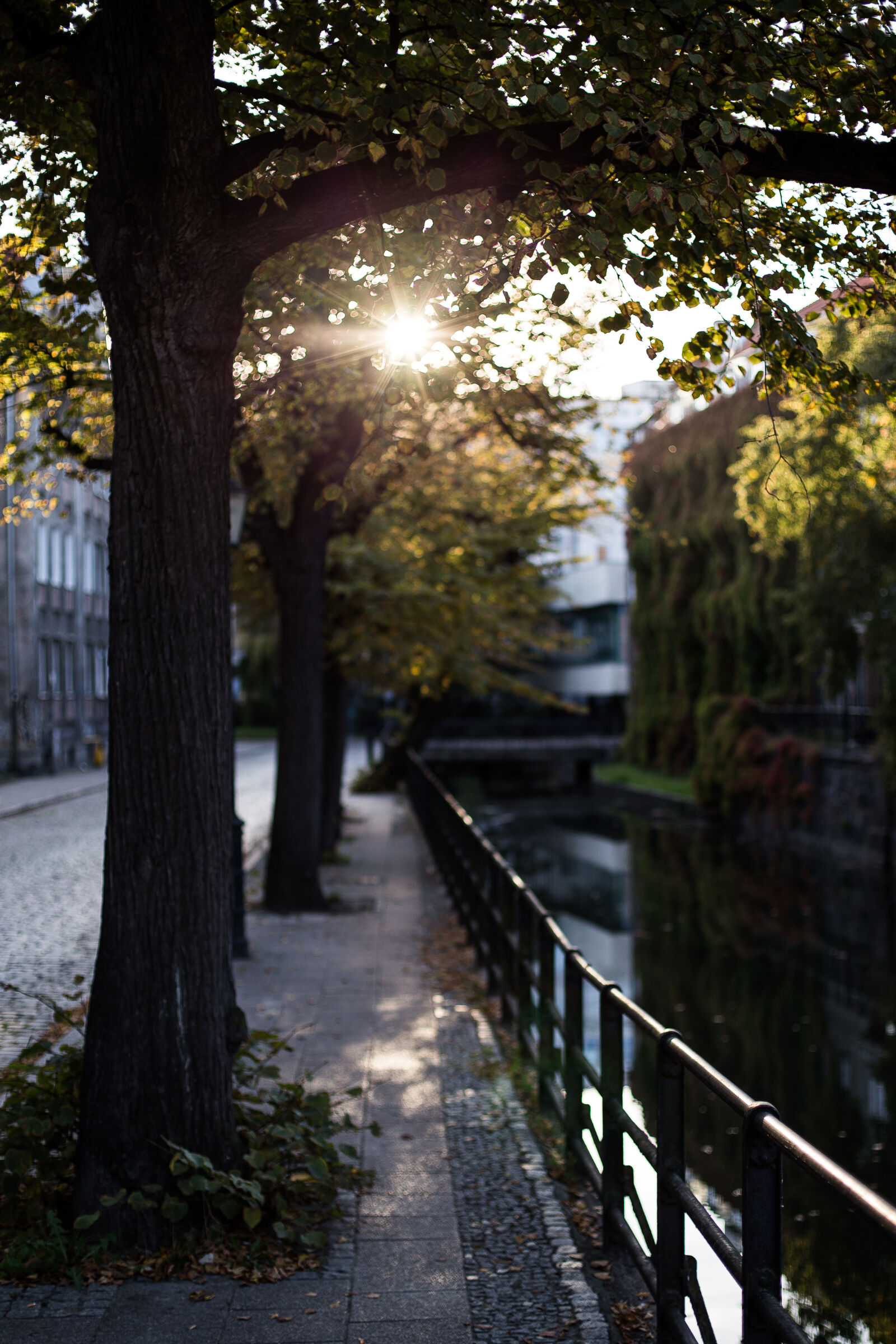 Canon EOS 6D + Canon EF 50mm F1.4 USM sample photo. Autumn, beautiful, river, city photography