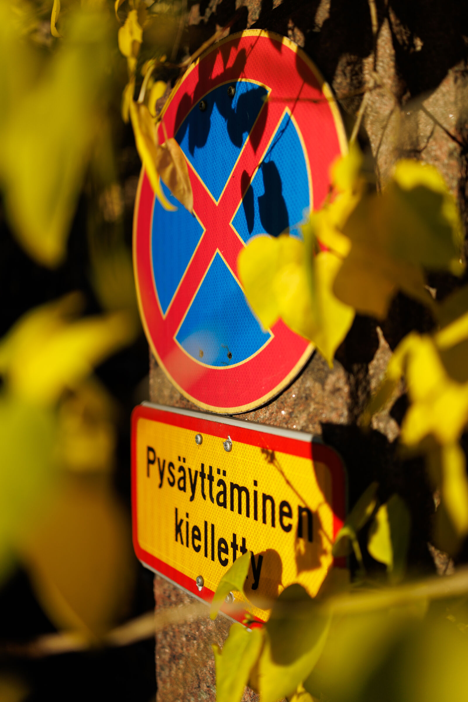 Canon EOS R5 Mark II sample photo. Morning sign photography