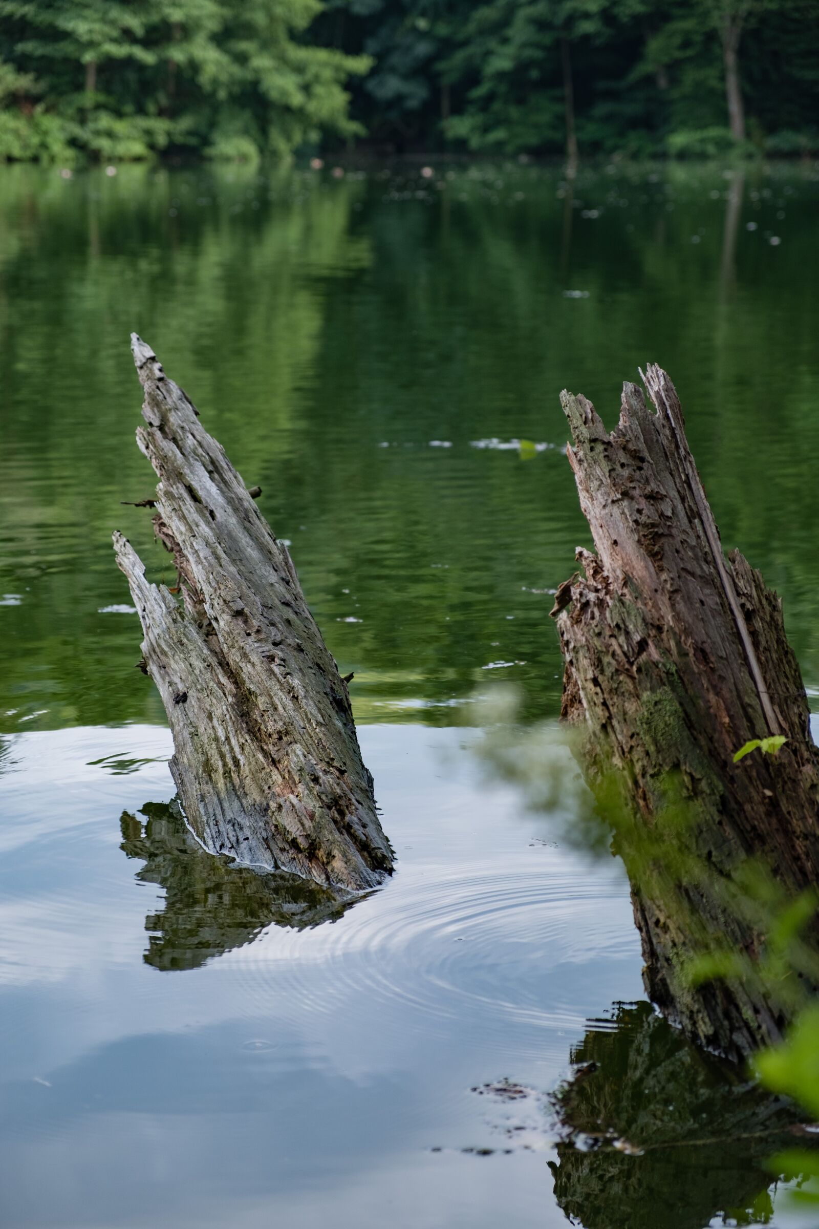 Fujifilm XF 18-55mm F2.8-4 R LM OIS sample photo. Water, river, lake photography