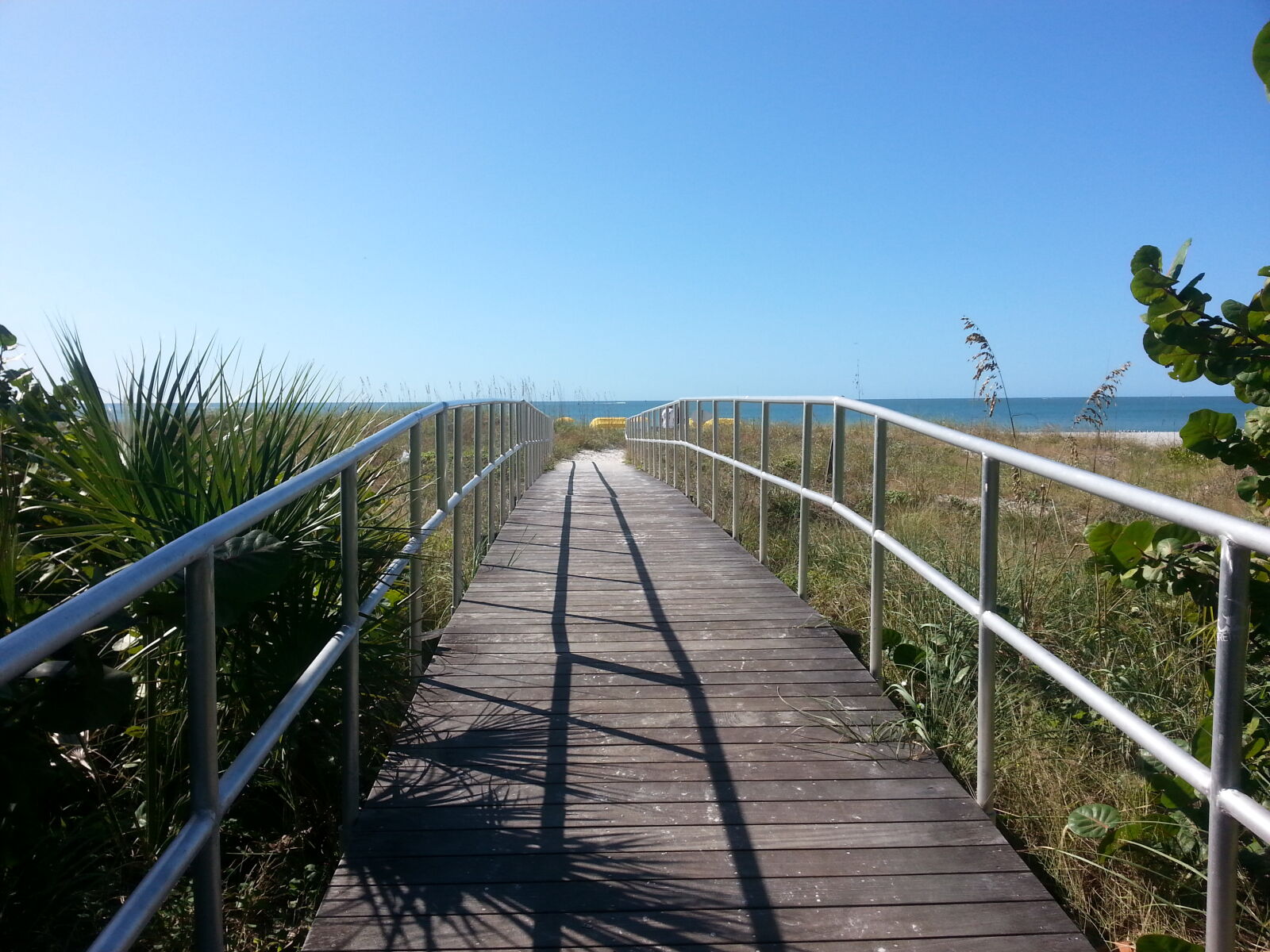 Samsung Galaxy S3 sample photo
